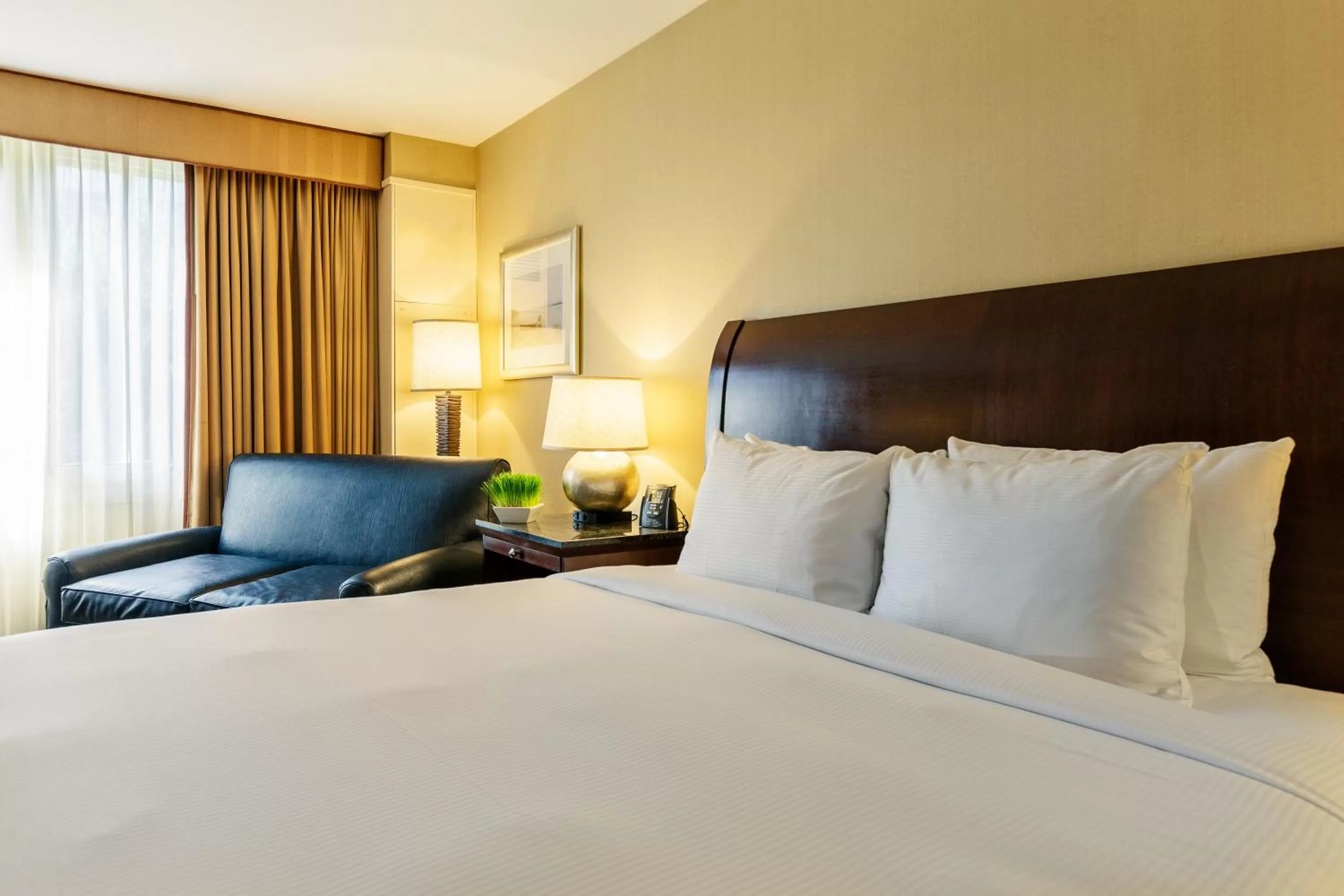 Junior Suite in Sleepy Hollow Hotel