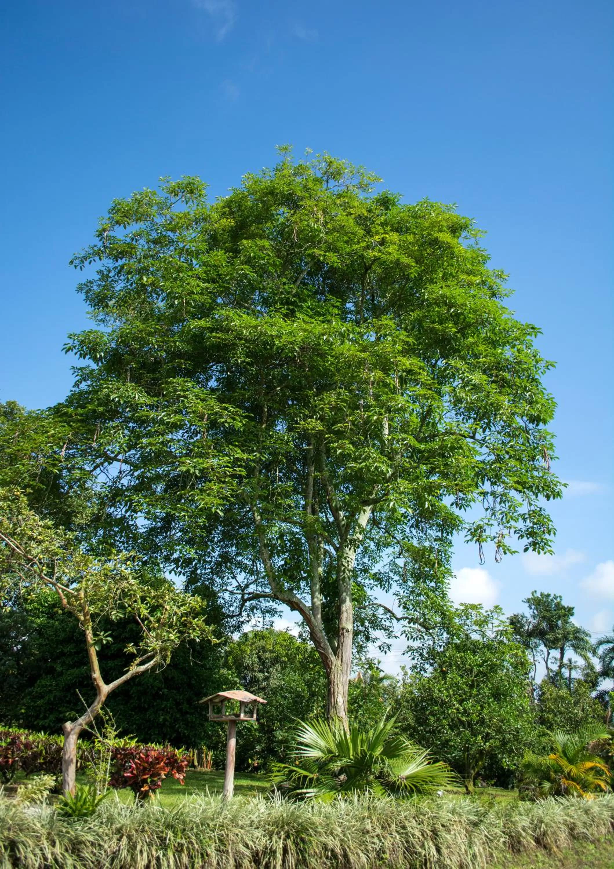 Off site in Balsora Hotel Boutique