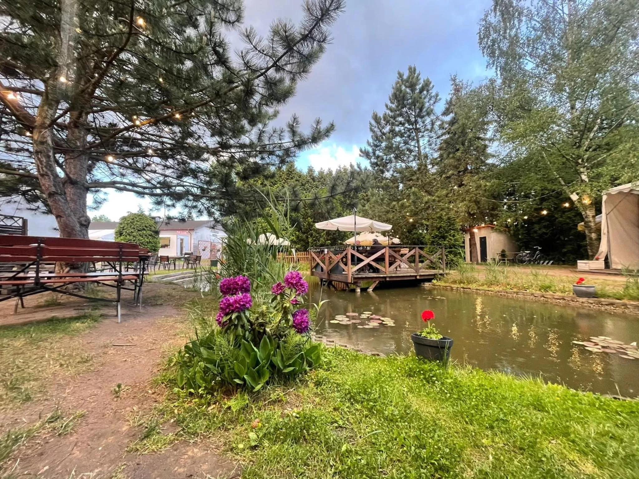 Garden in Hotel Garden