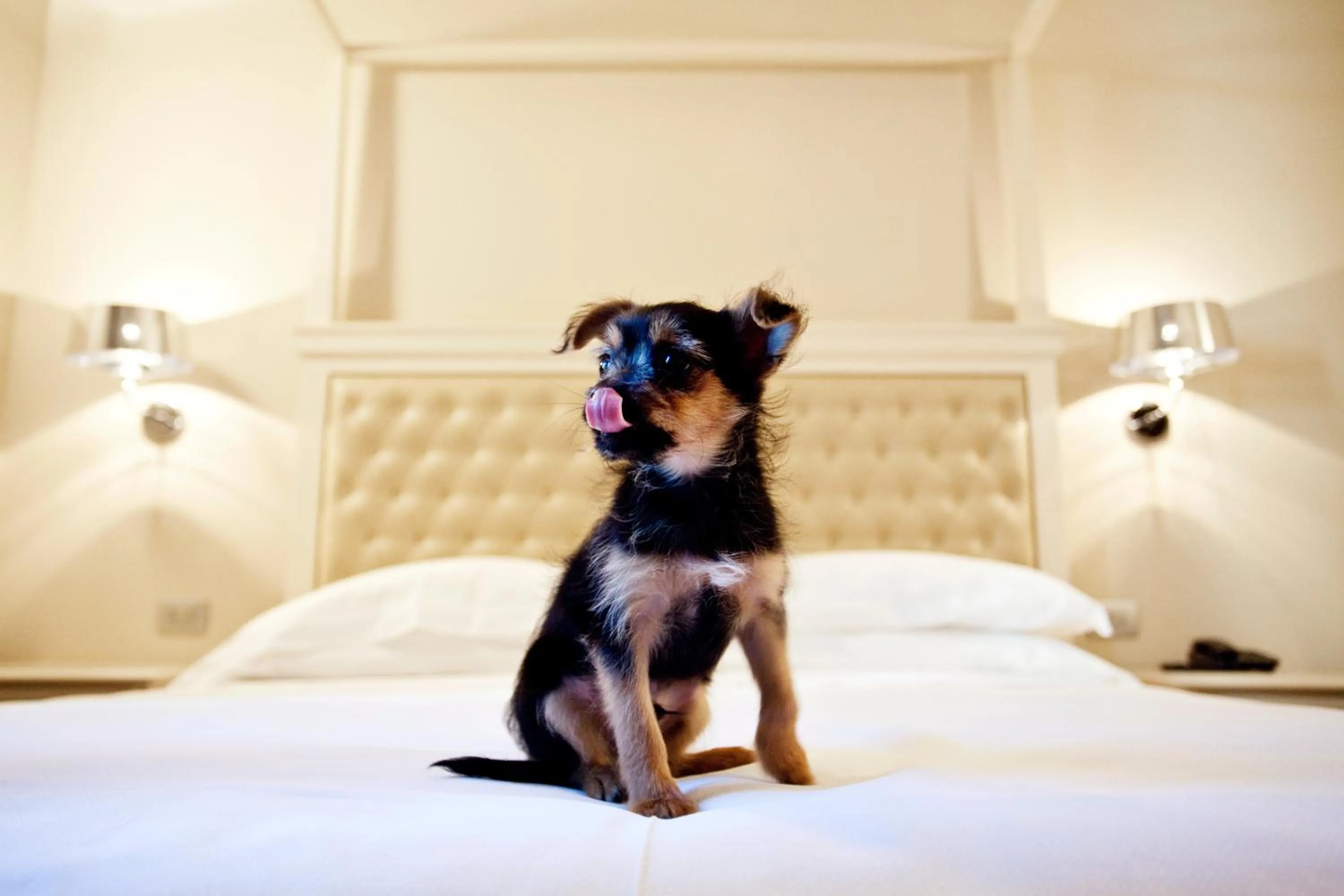 People, Bed in Hotel Dei Fiori Restaurant - Meeting & Spa