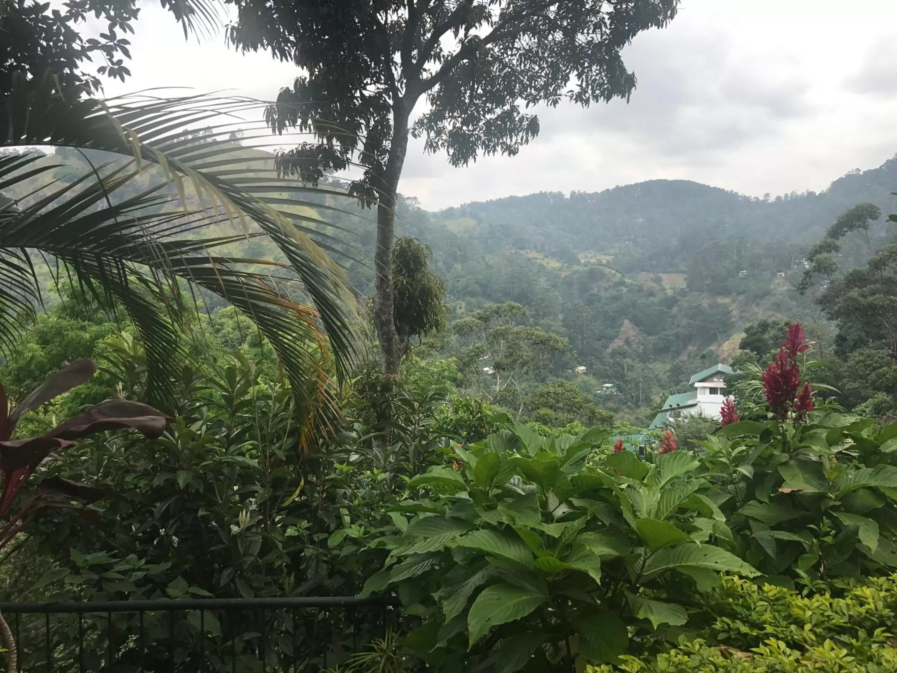 Mountain view in Raveena Guest House