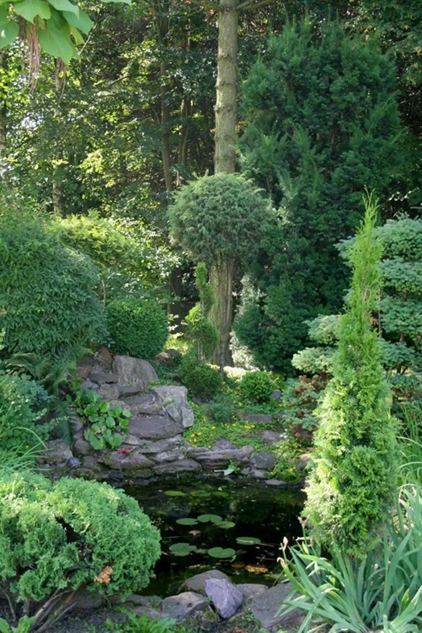 Activities in HOTEL ODR