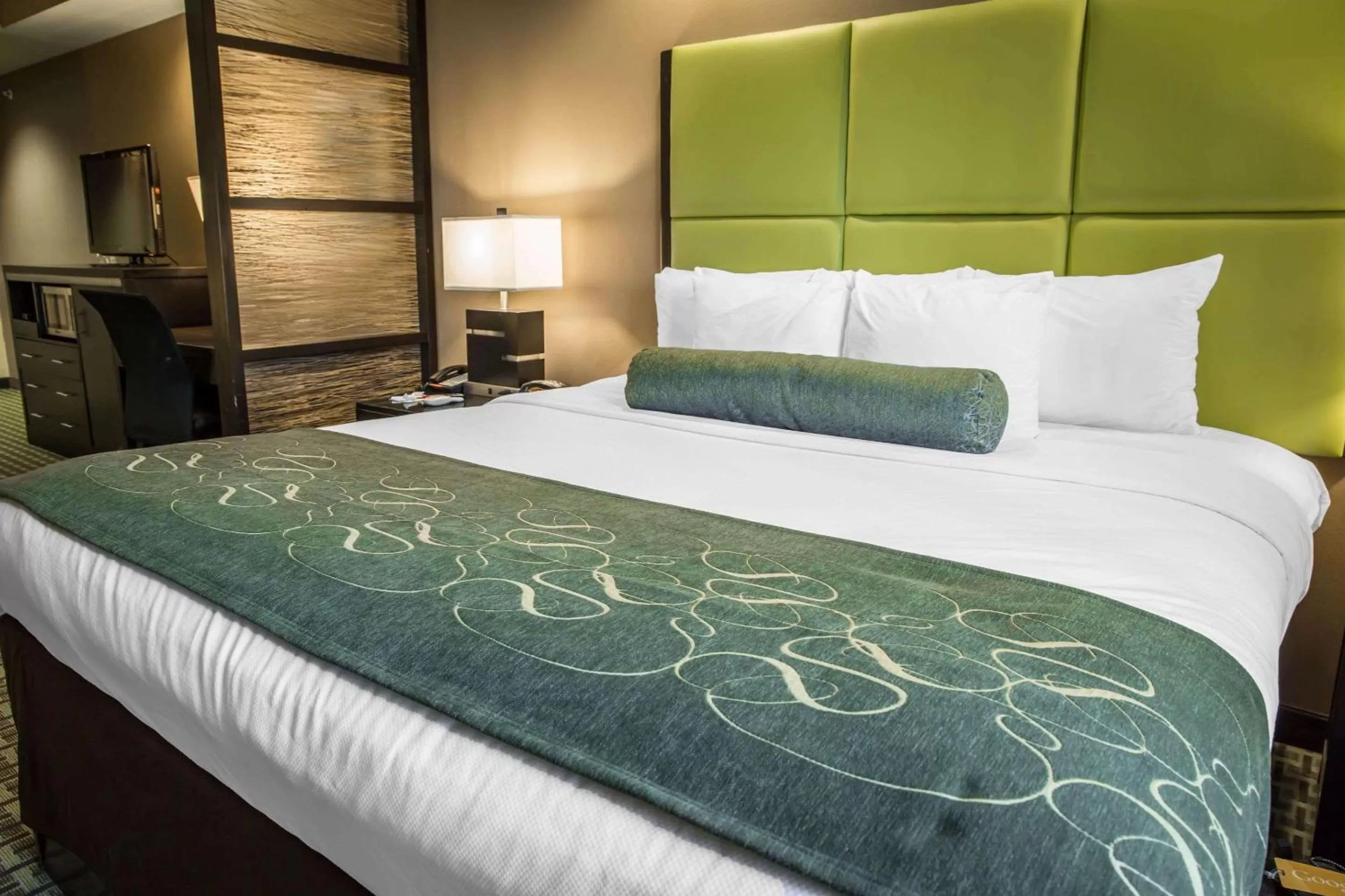 Photo of the whole room, Bed in Comfort Suites New Bern near Cherry Point