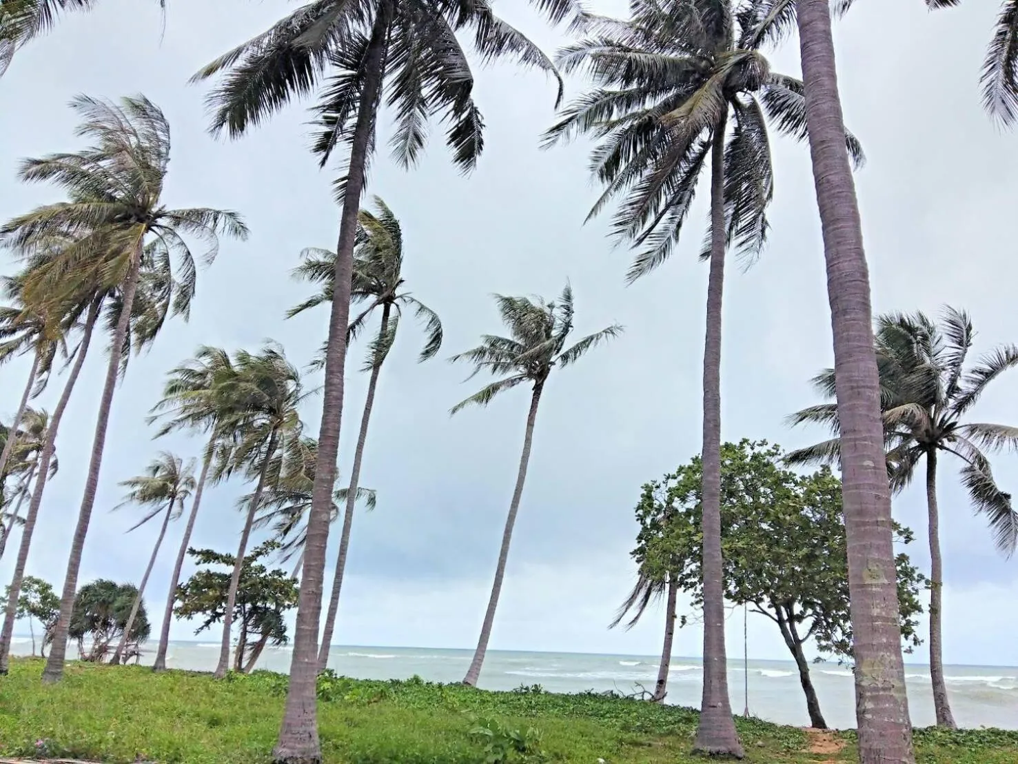 City view in The Wings Boutique Hotels Krabi Ko Lanta