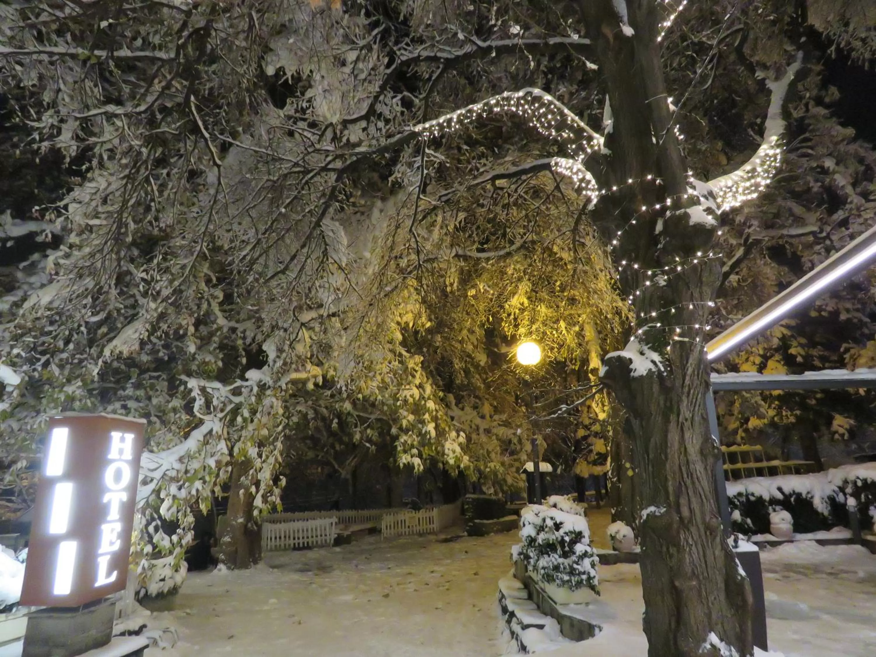 Winter in Hotel Villa Boyana - Free Parking