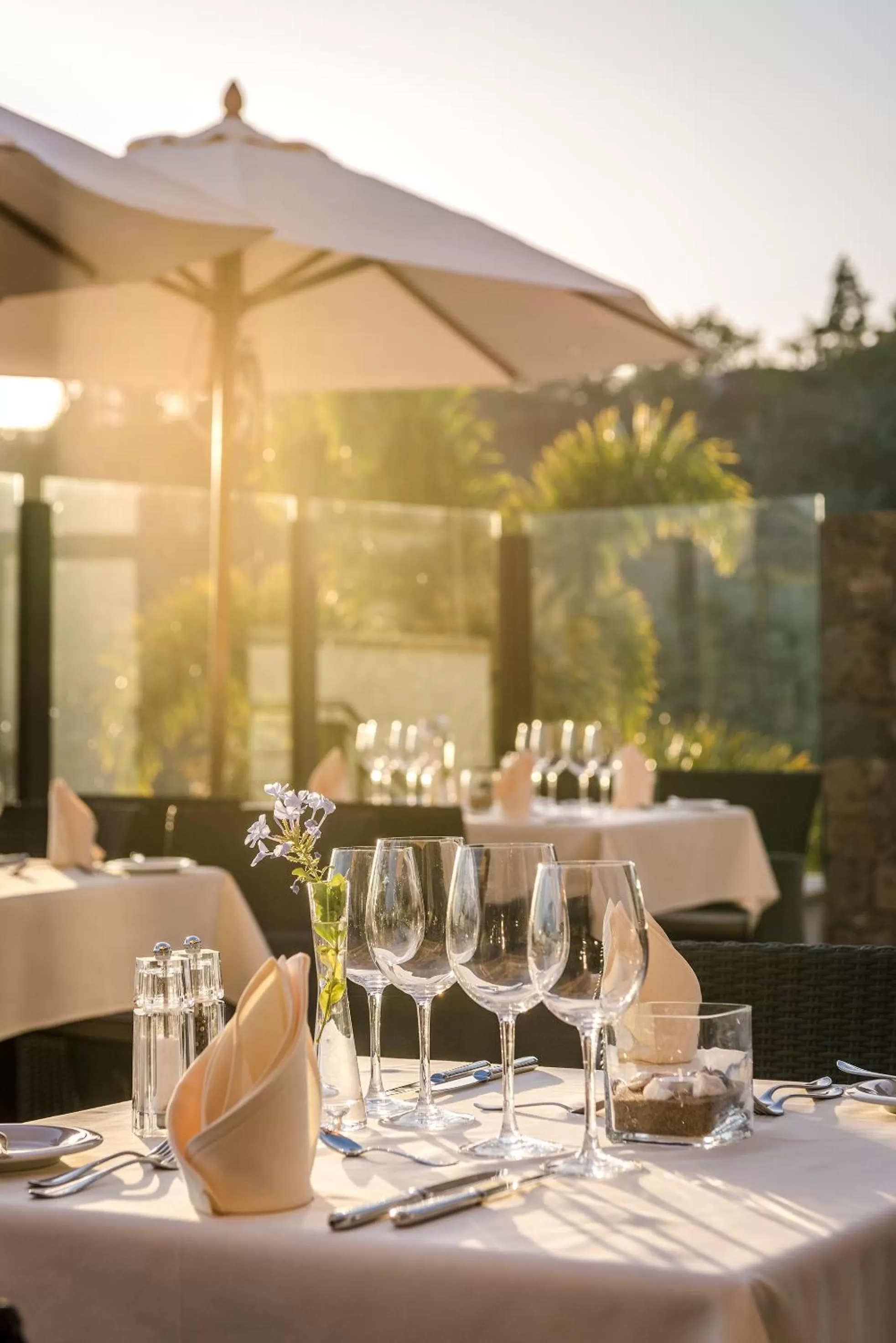 Restaurant/places to eat in Casa León Royal Retreat