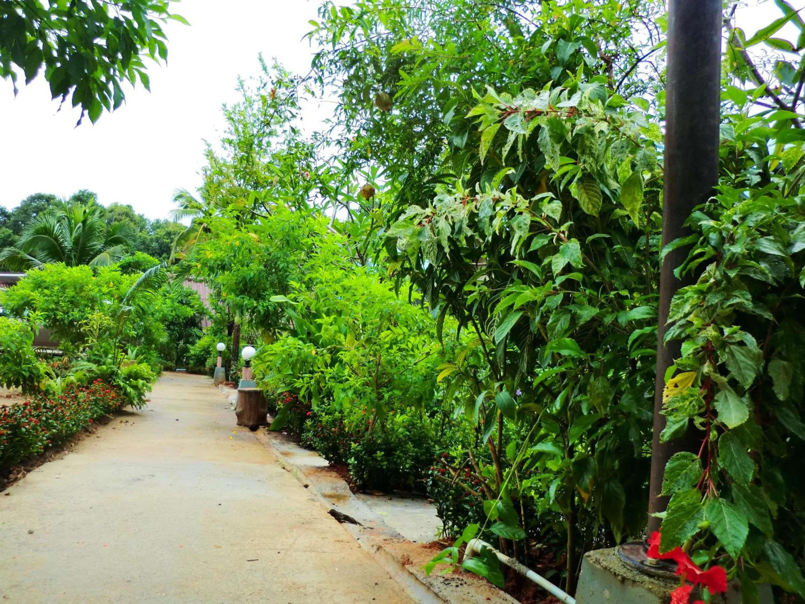 Garden in The Krabi Forest Homestay