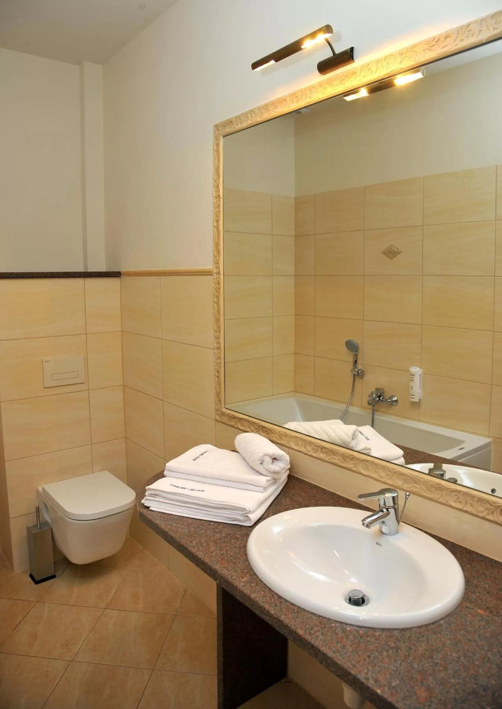 Bathroom in Hotel Sandro Silver & Spichlerz Antoniny