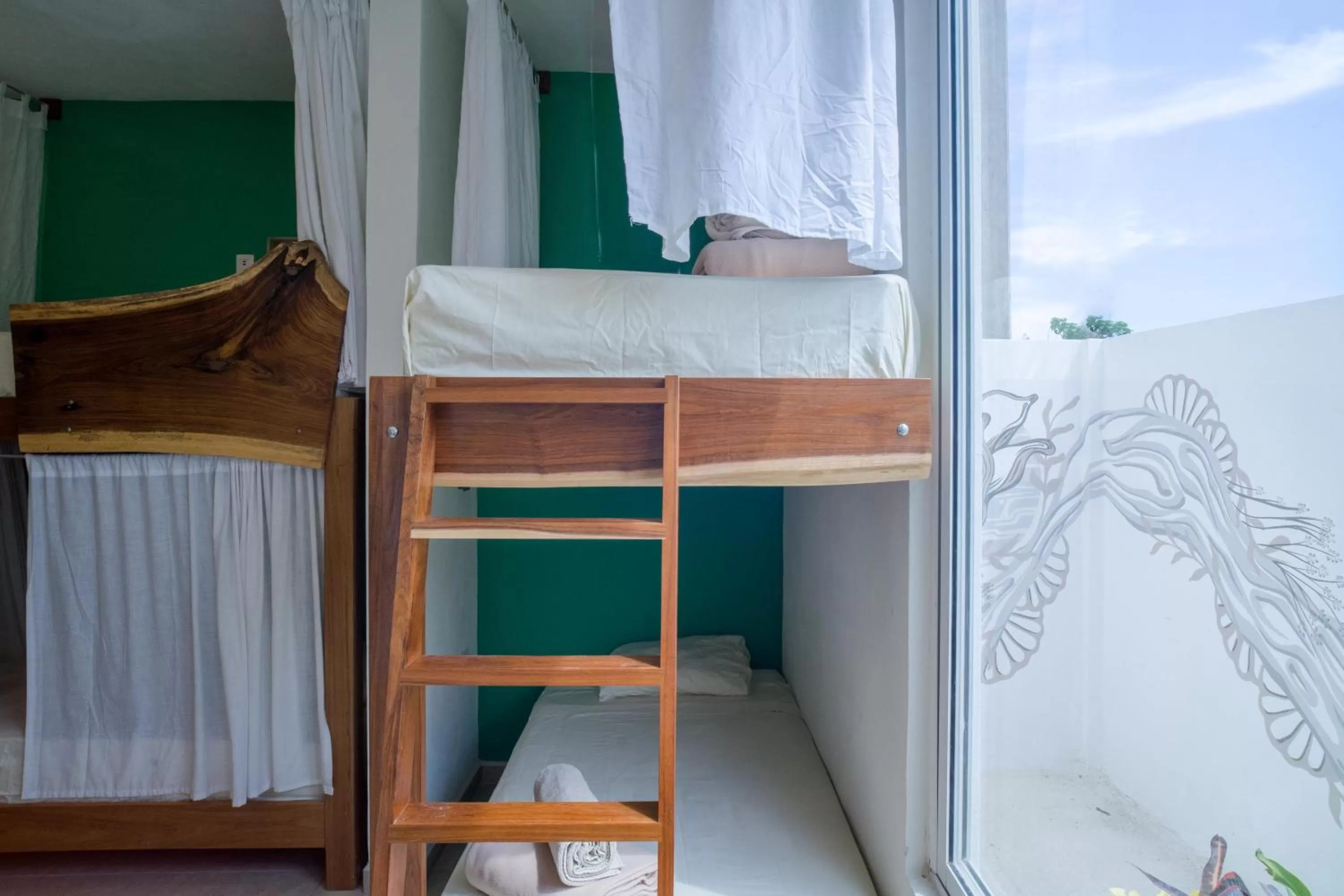 Bunk Bed in La Palmita Budget Boutique Hotel