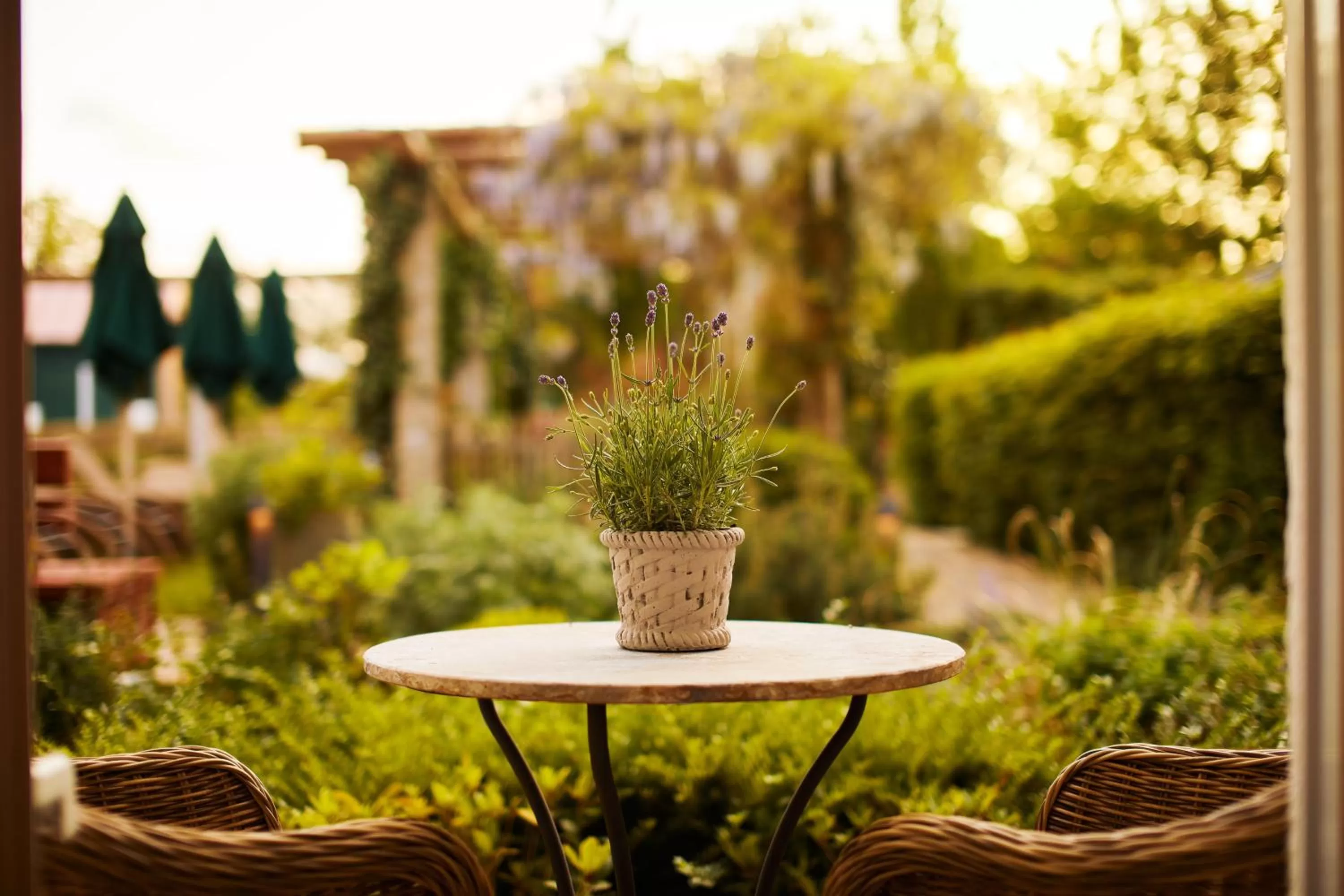 Fuchsbau Romantik Hotel & SPA Restaurant & FOX Bar