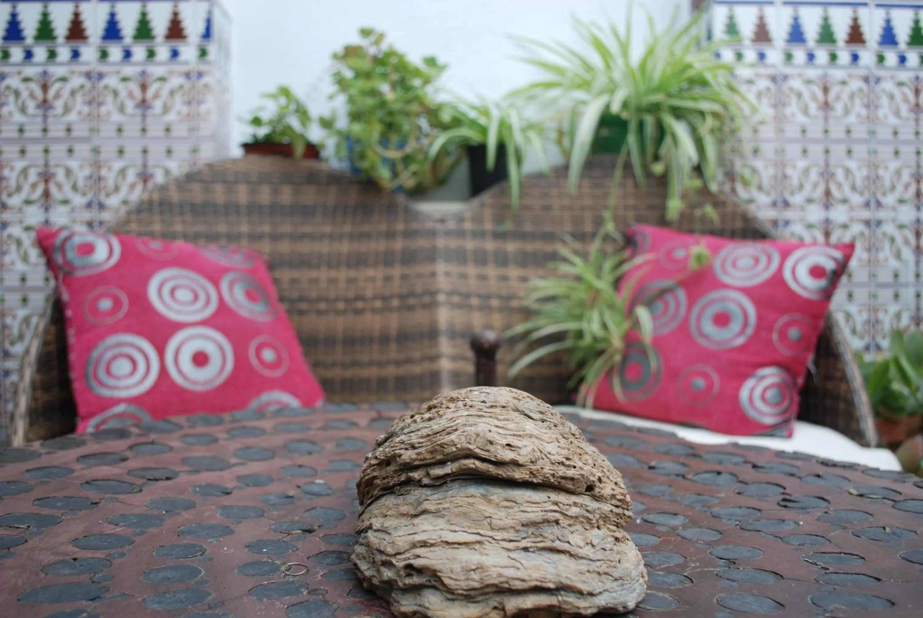 Garden, Bed in Backpacker Al-Katre
