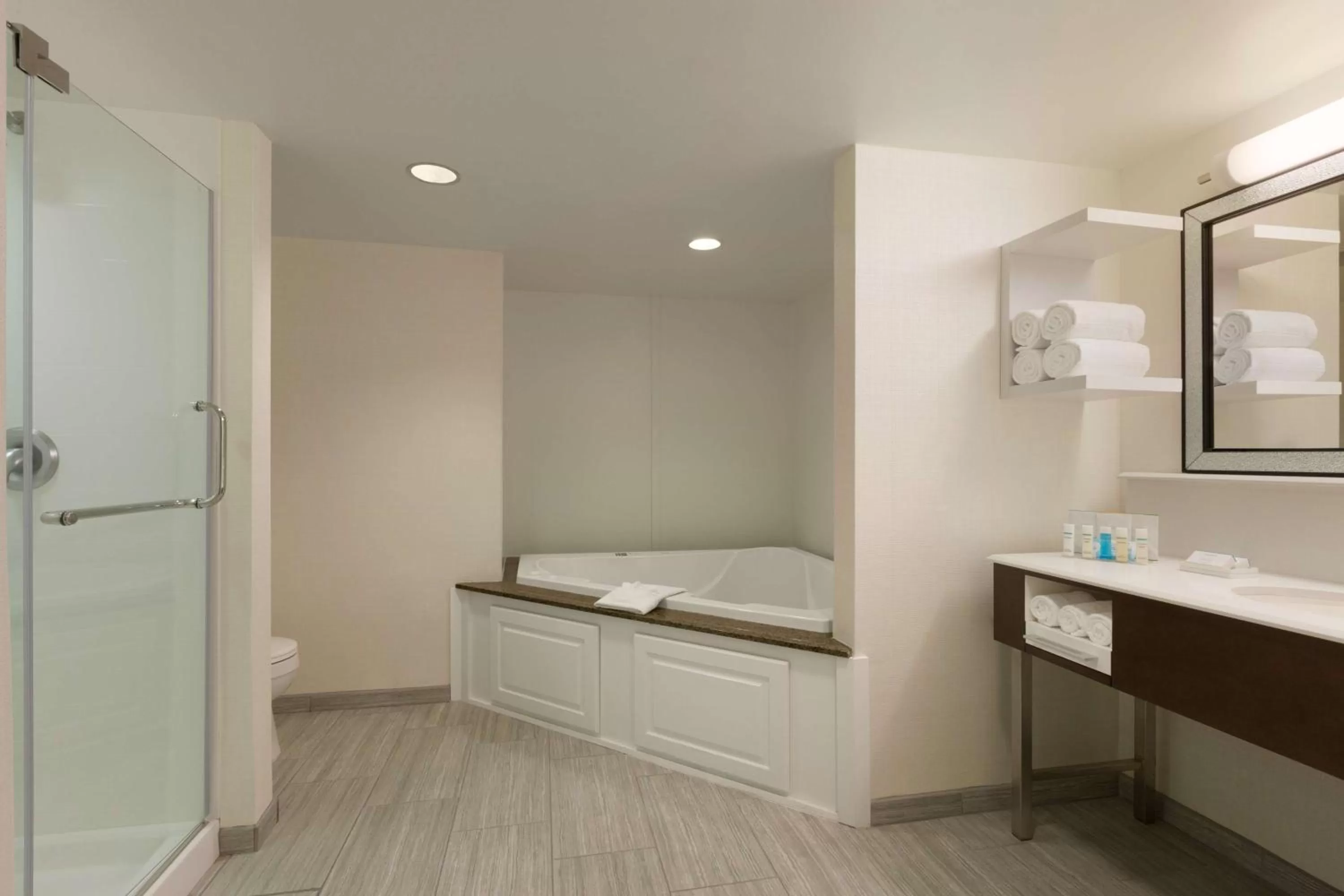 Bathroom in Hampton Inn & Suites Nashville-Downtown