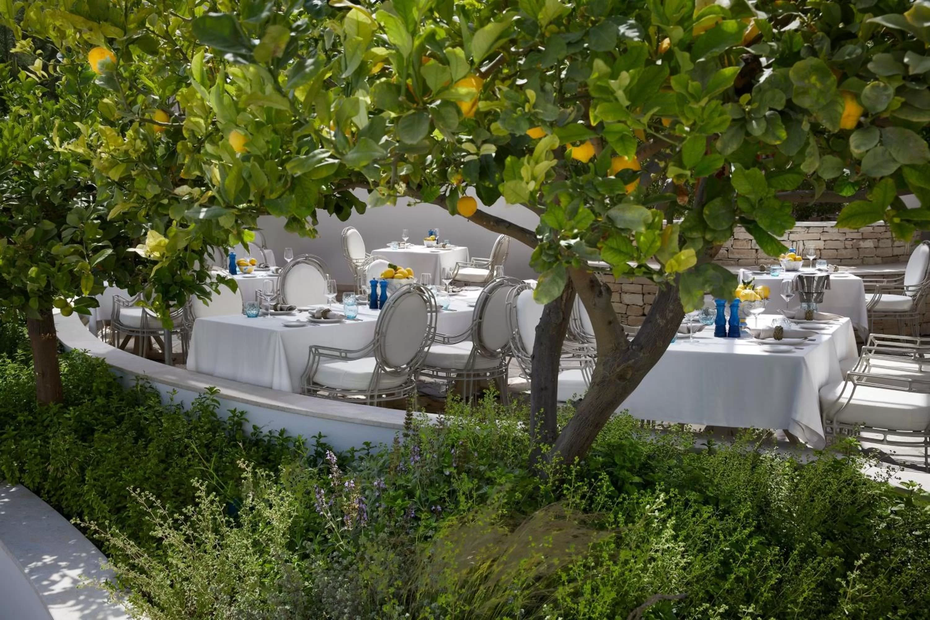 Restaurant/places to eat in Parklane, a Luxury Collection Resort & Spa, Limassol