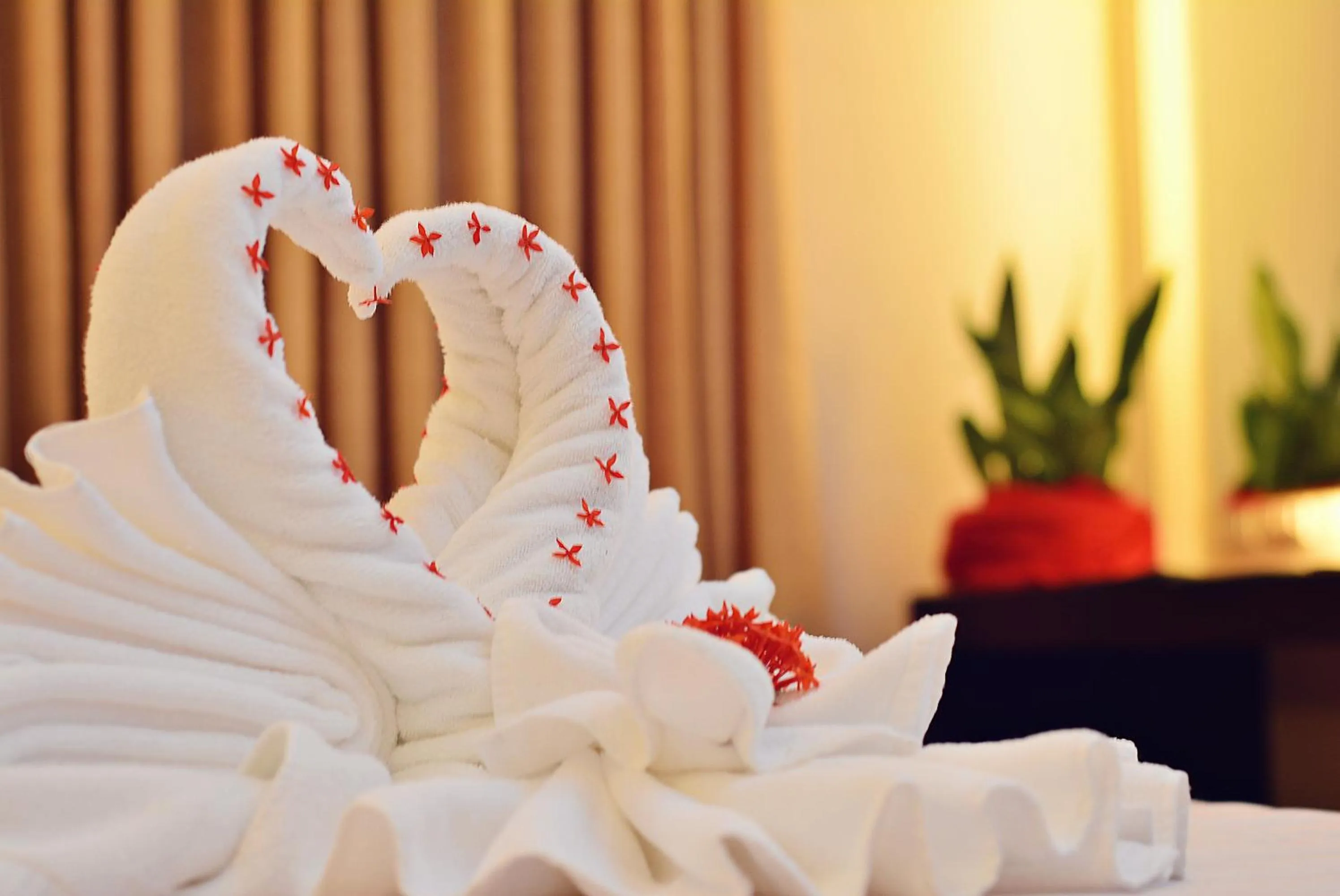 Citystate Asturias Hotel Palawan