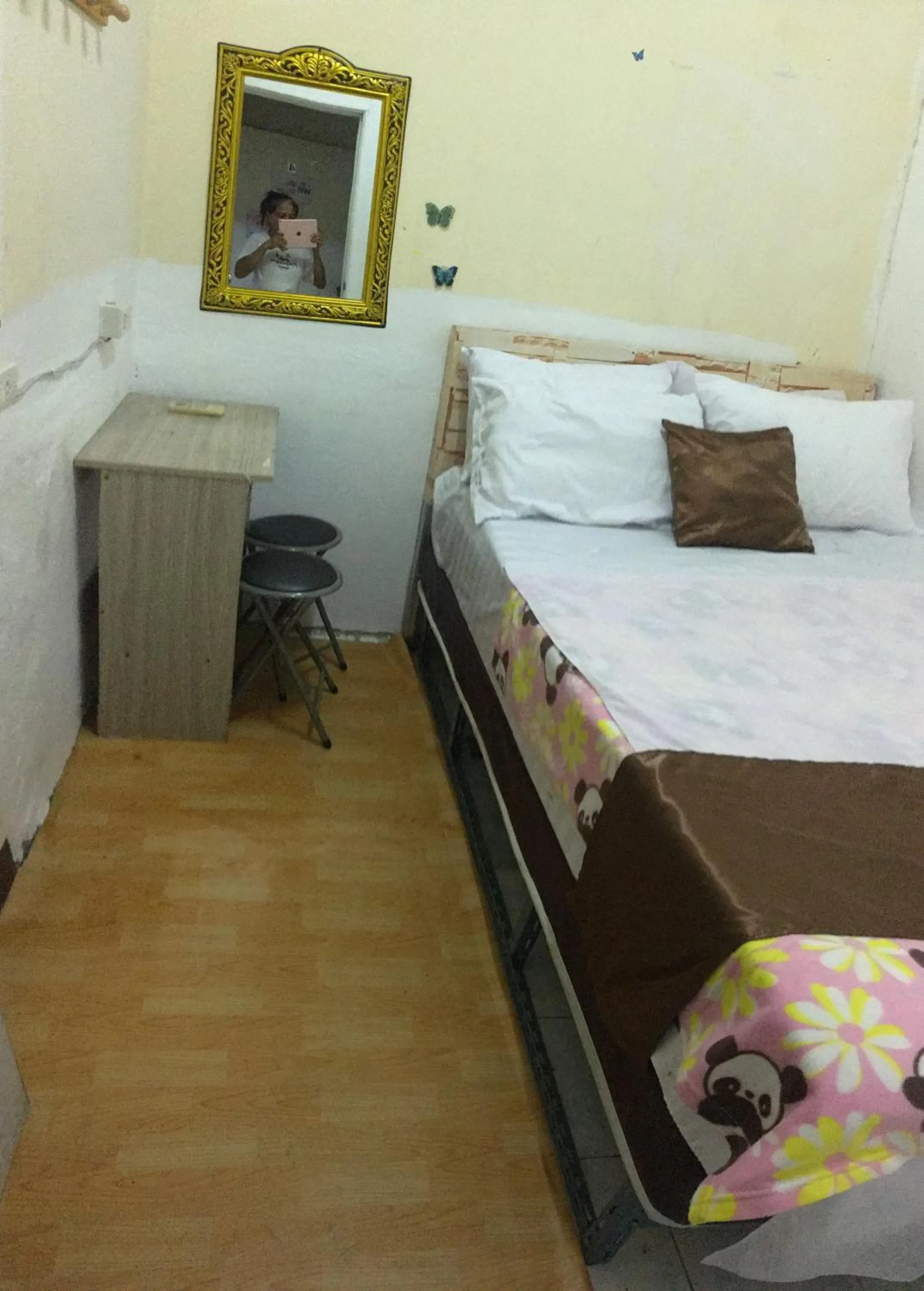 Bed in Hostel 24
