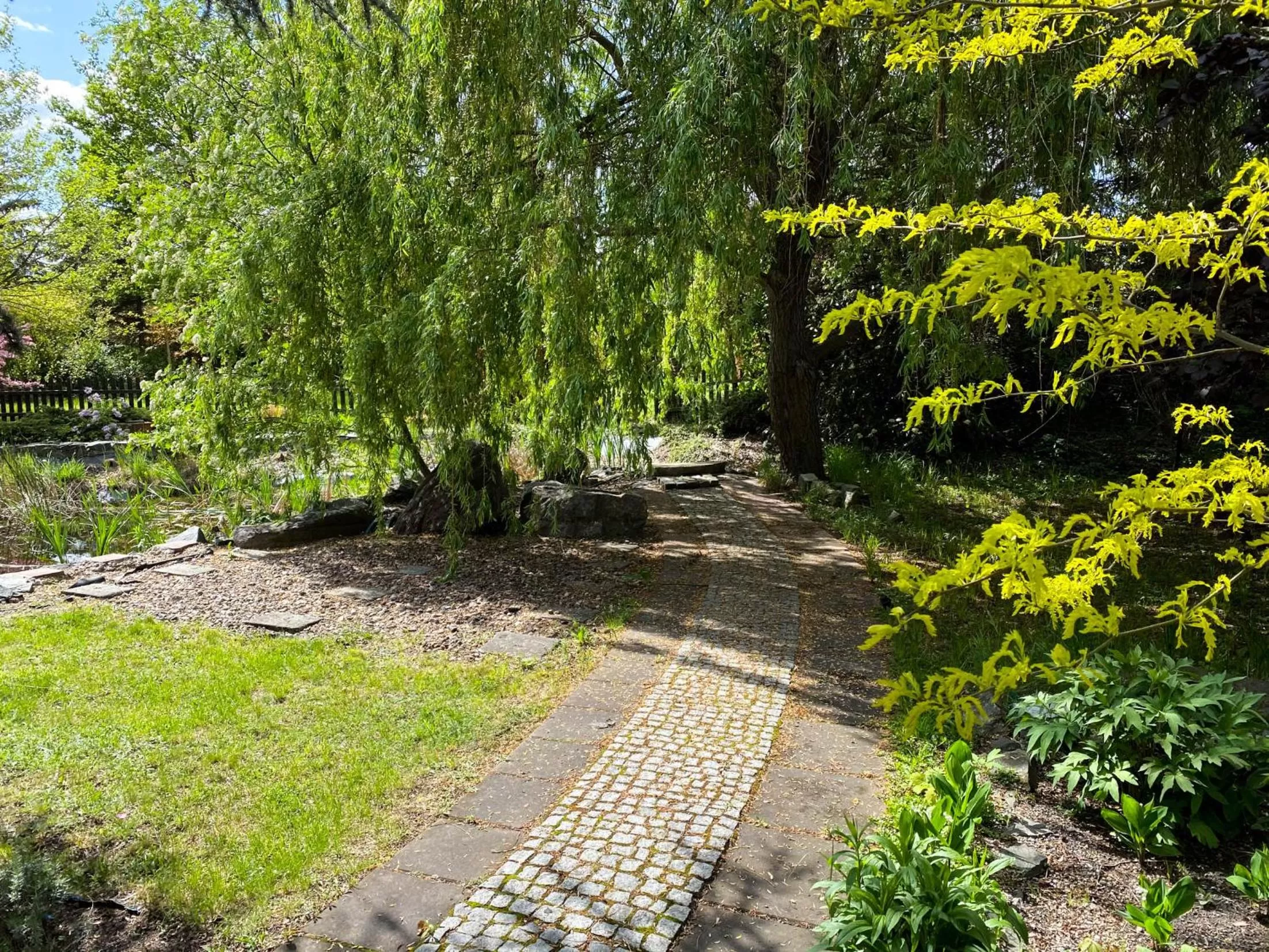 Garden in Hotel Garden