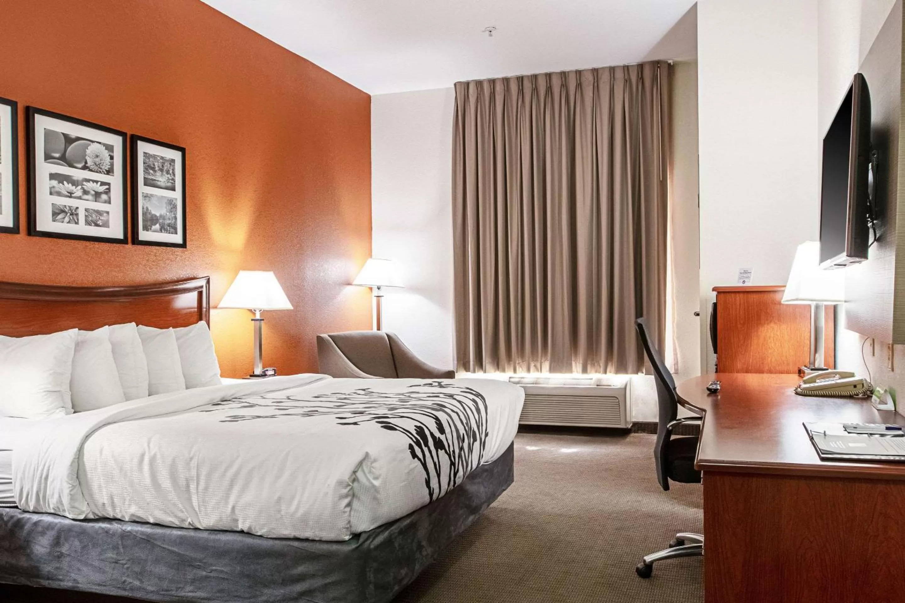 Photo of the whole room, Bed in Sleep Inn & Suites Hobbs