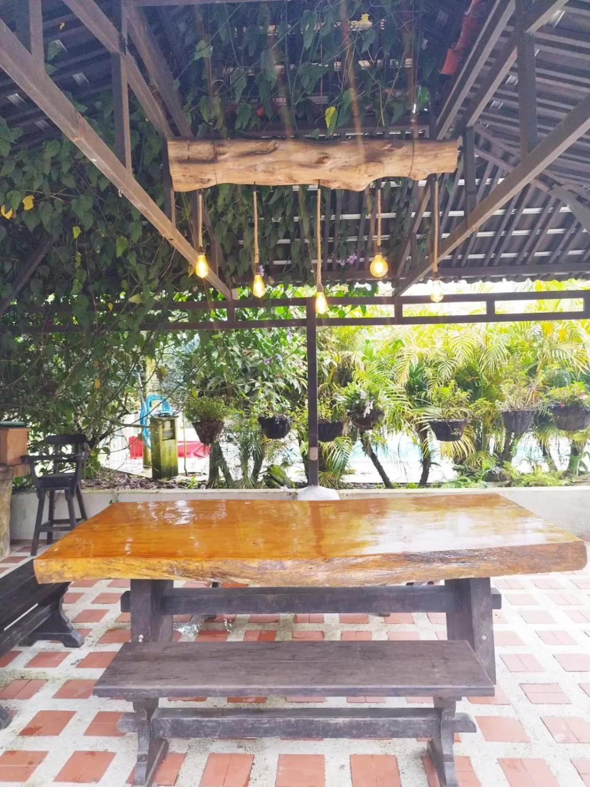 Restaurant/places to eat in Finca Campestre La Adelita B&B