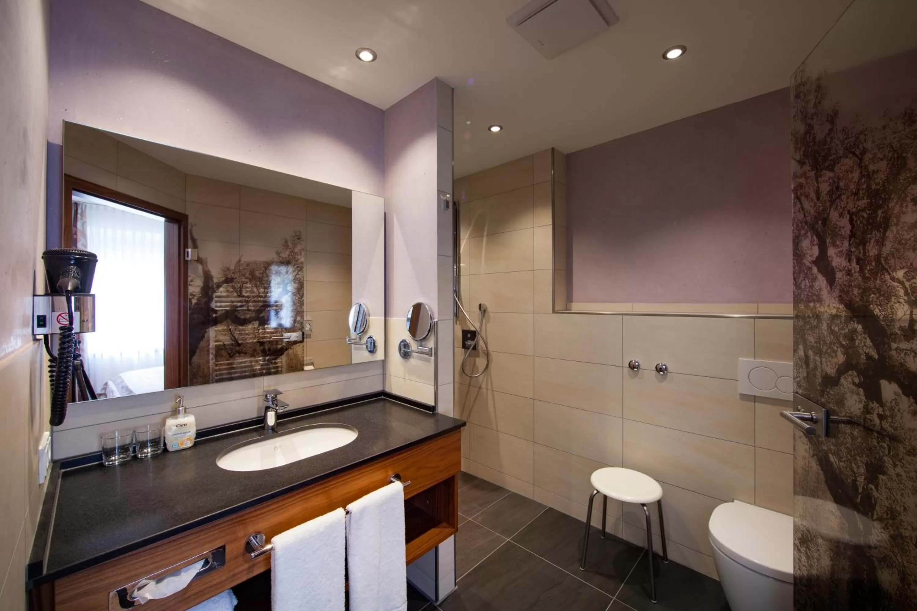 Shower in Hotel Greinwald