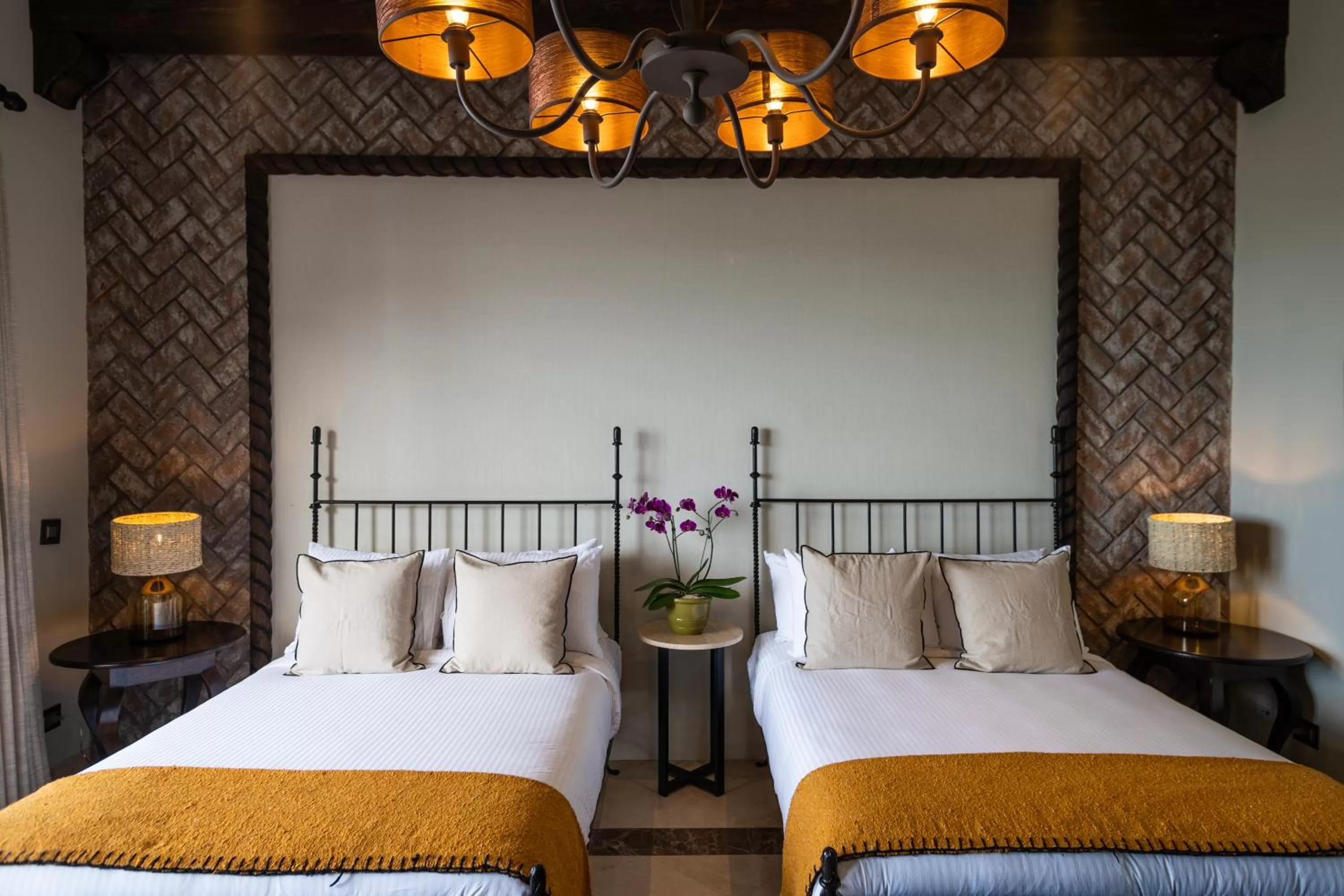 Bedroom, Bed in Orchid House Baja