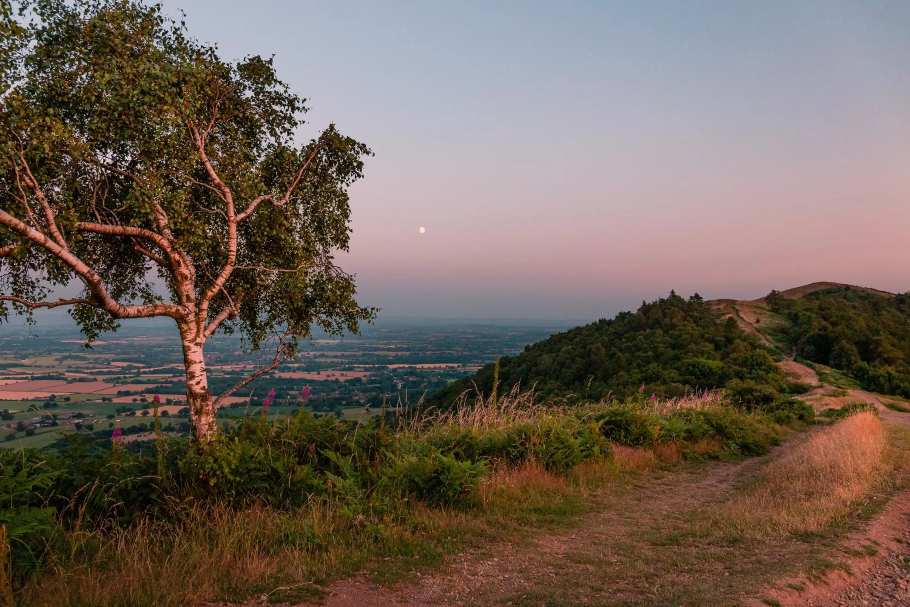 Property building in Mount Pleasant Hotel