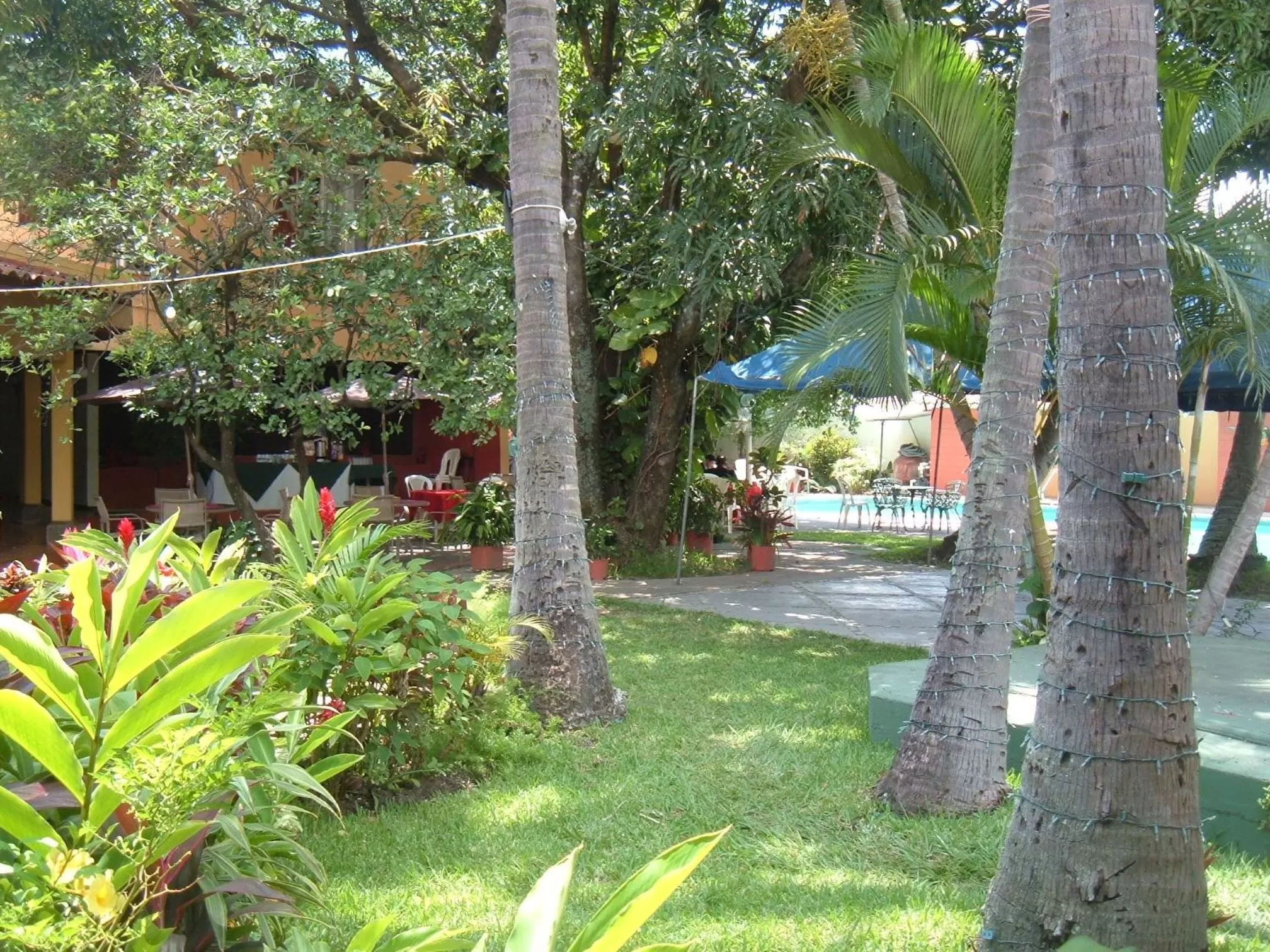 Garden in Hotel Mediterraneo Plaza