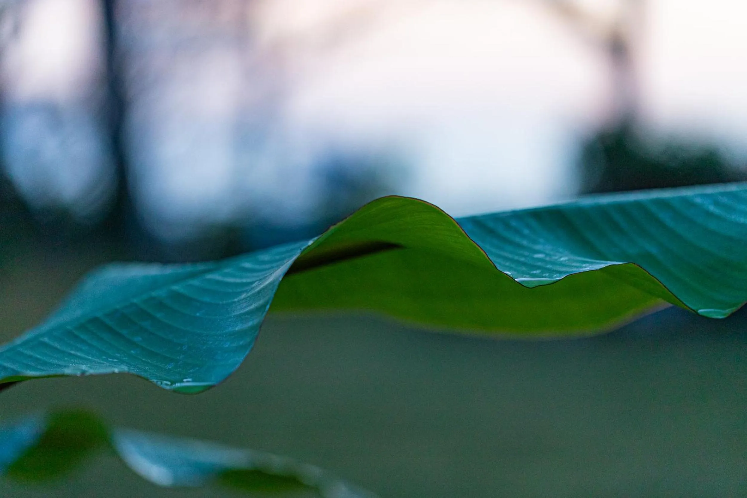 Gardenvilla Shirahama
