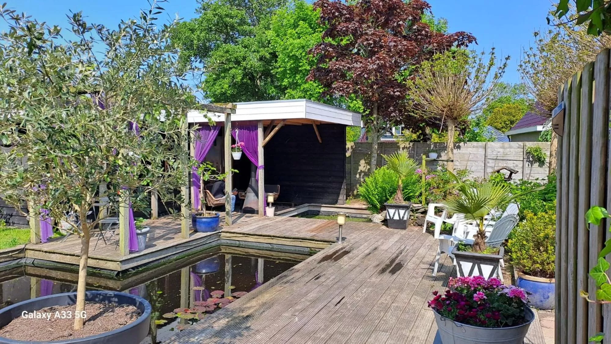 Garden in B&B Het Oude Doktershuys