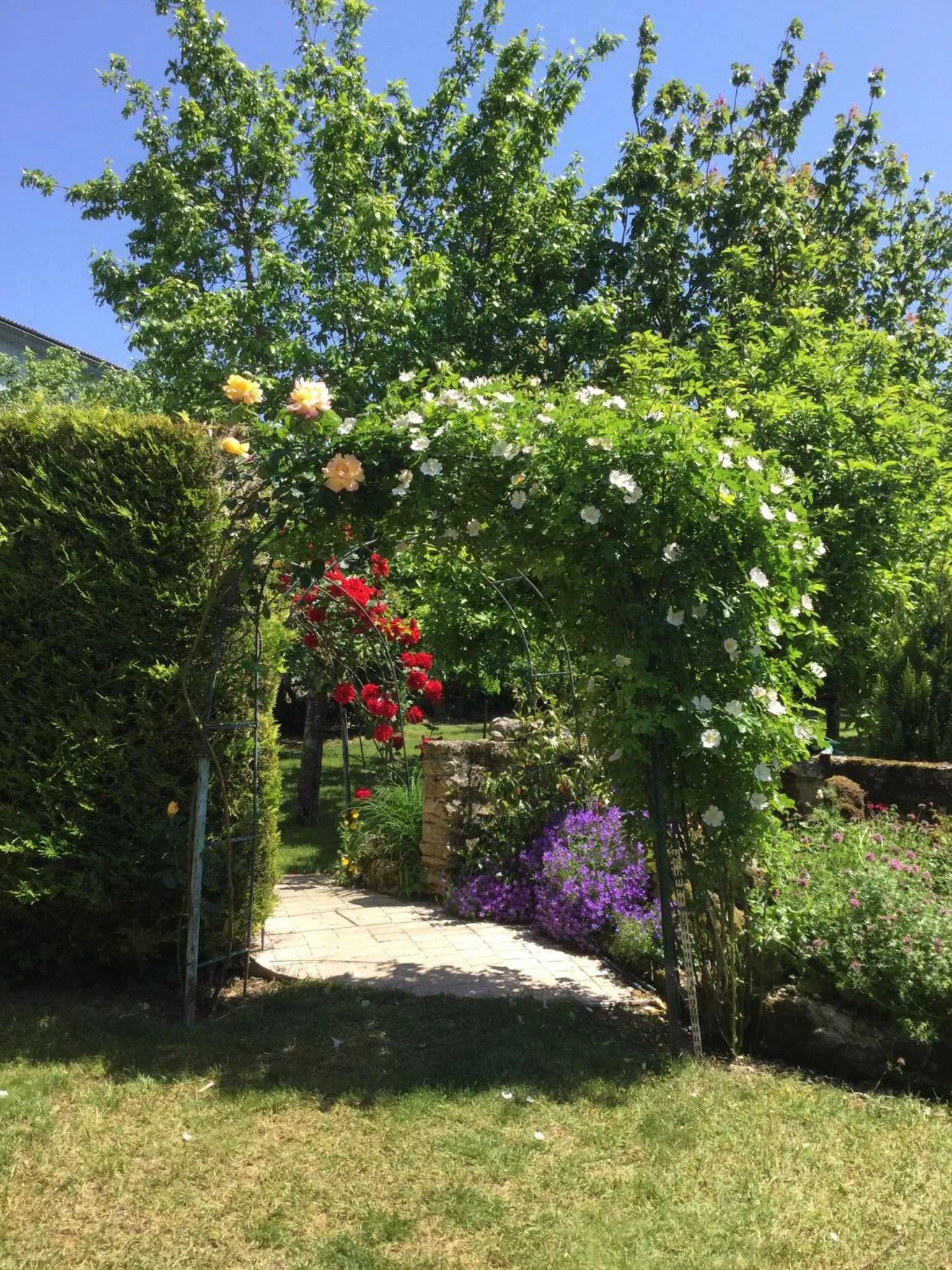 Garden in Les noyers aulnay