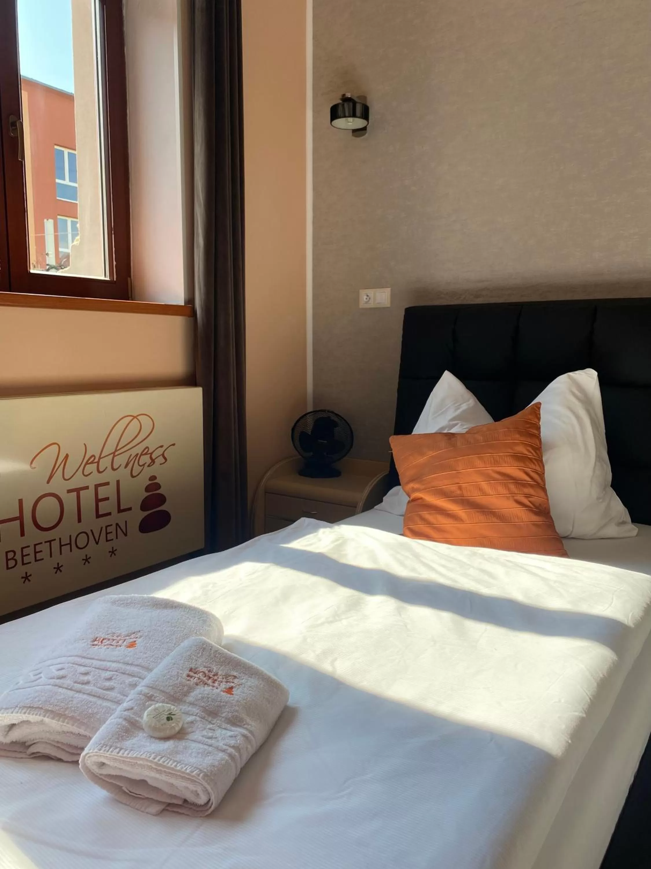 Twin Room in Wellness Hotel Beethoven