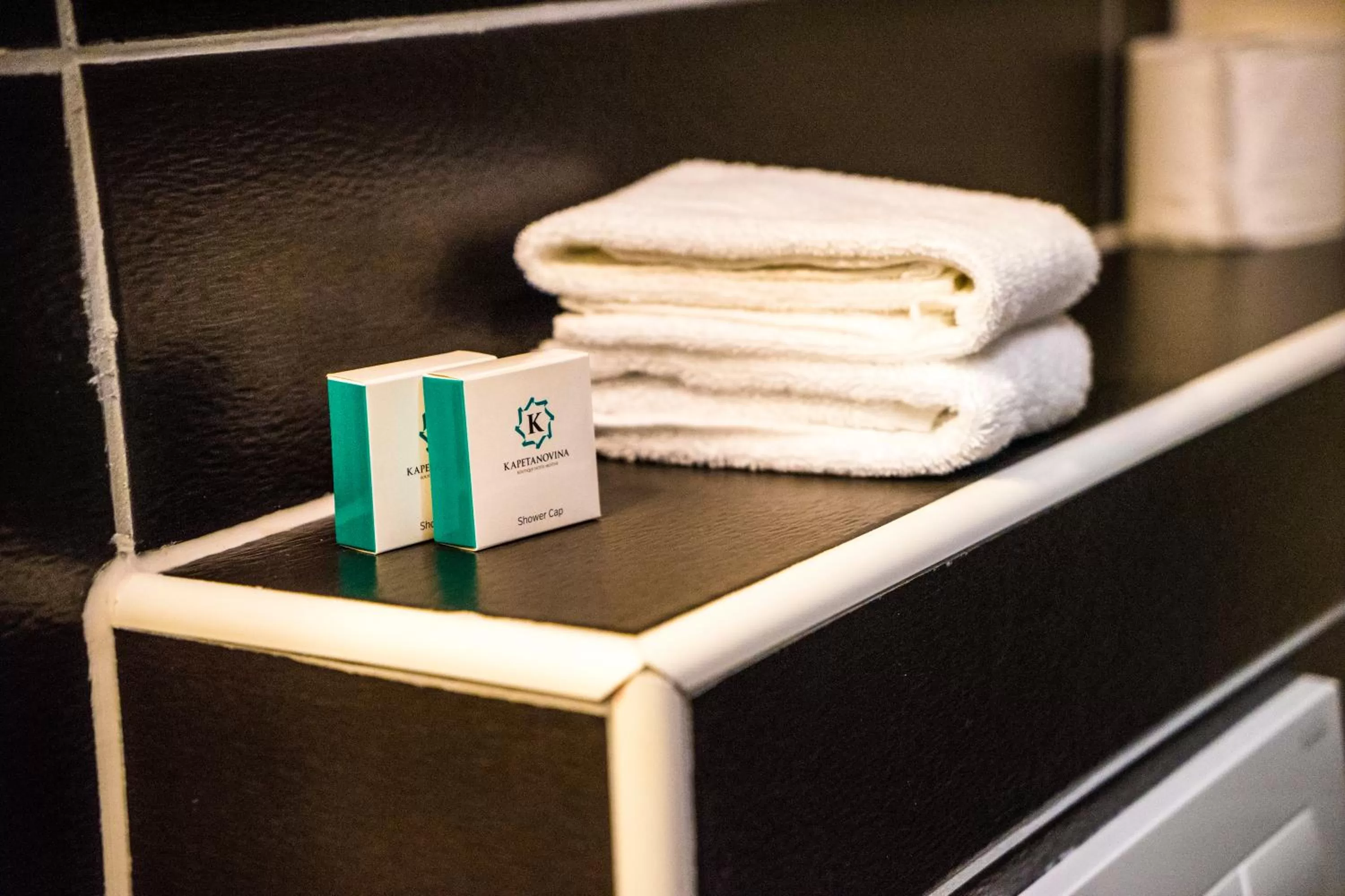 Property logo or sign in Hotel Kapetanovina