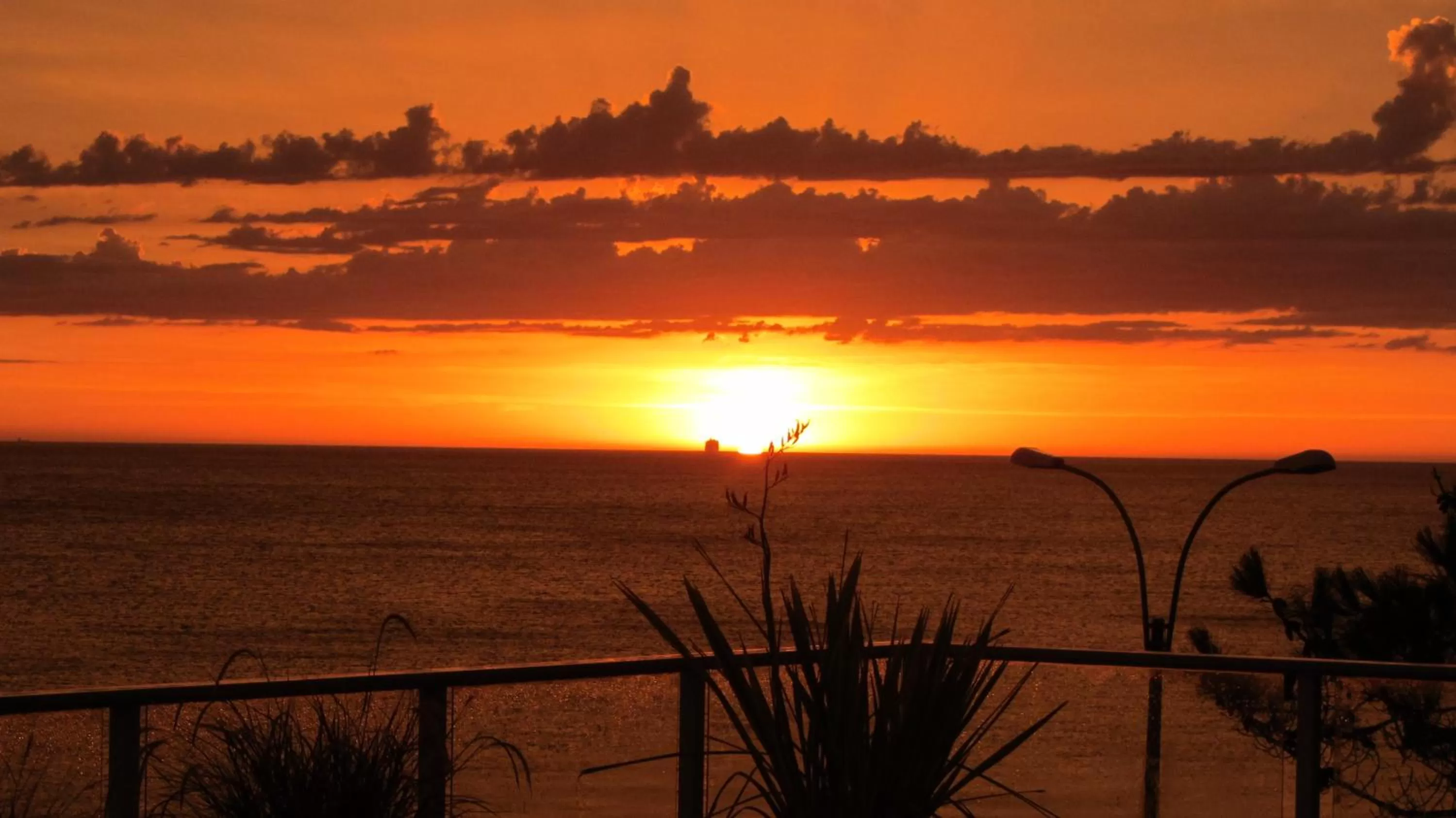 View (from property/room) in BDA Hotel & Spa