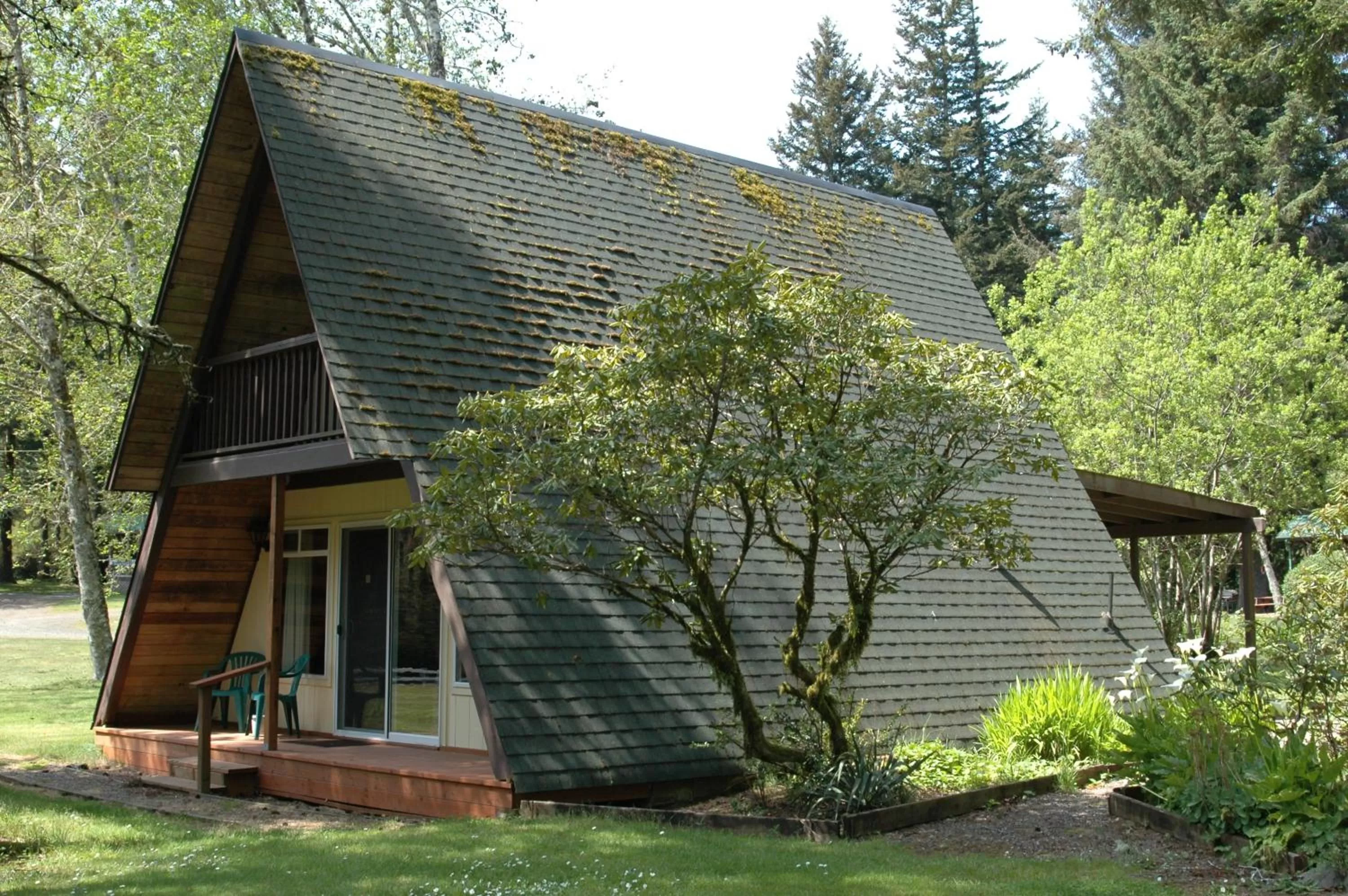 Park Motel and Cabins