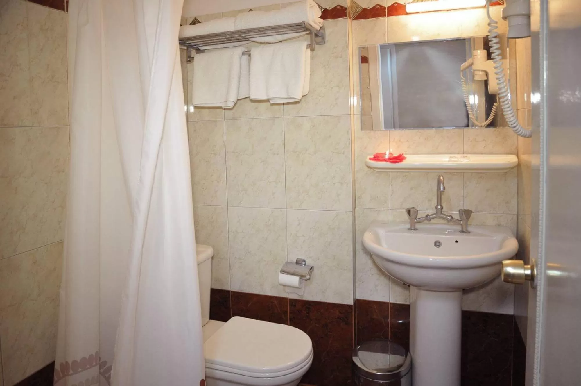 Bathroom in Hotel Anesi