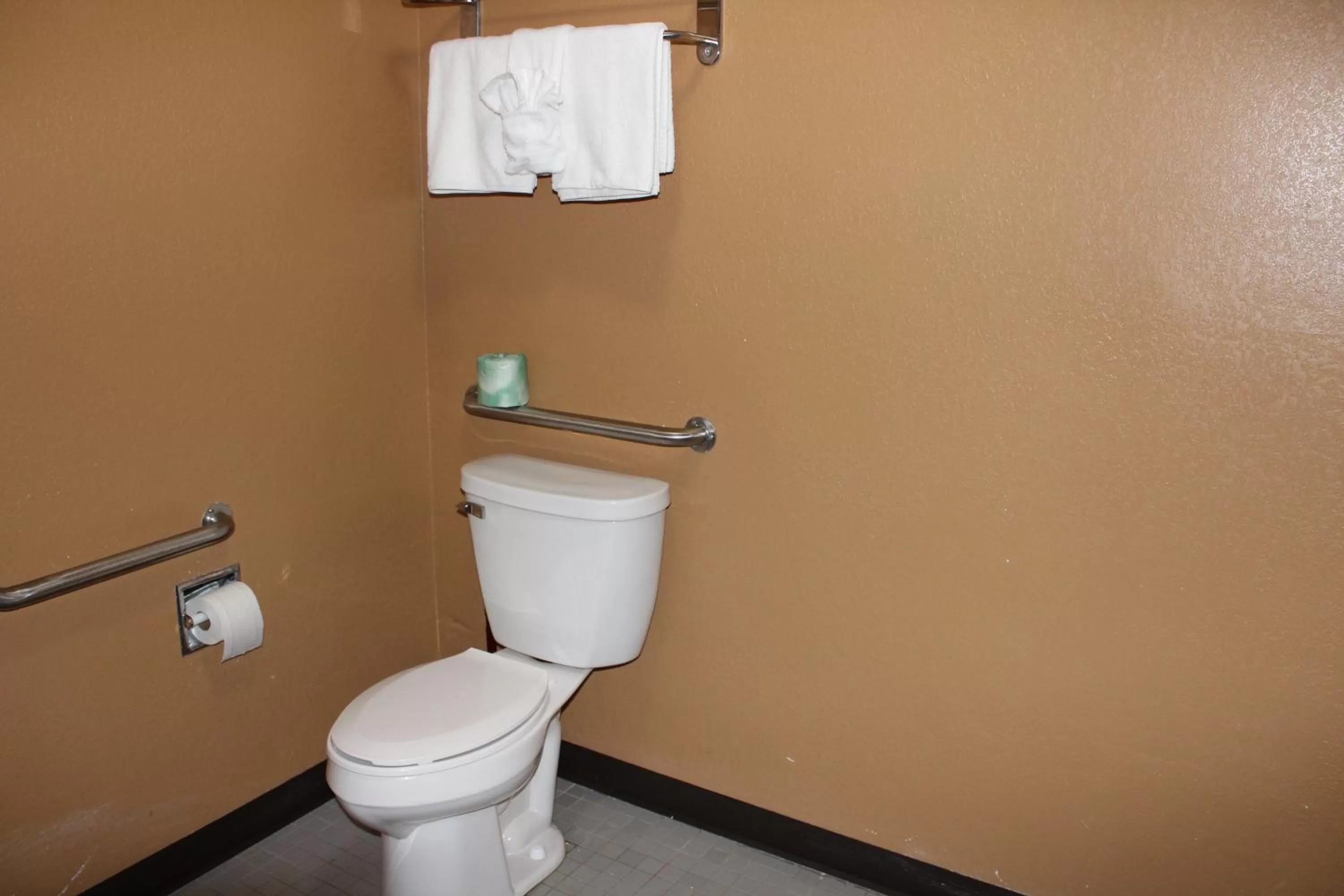 Bathroom in Coratel Inn and Suites Maple Grove