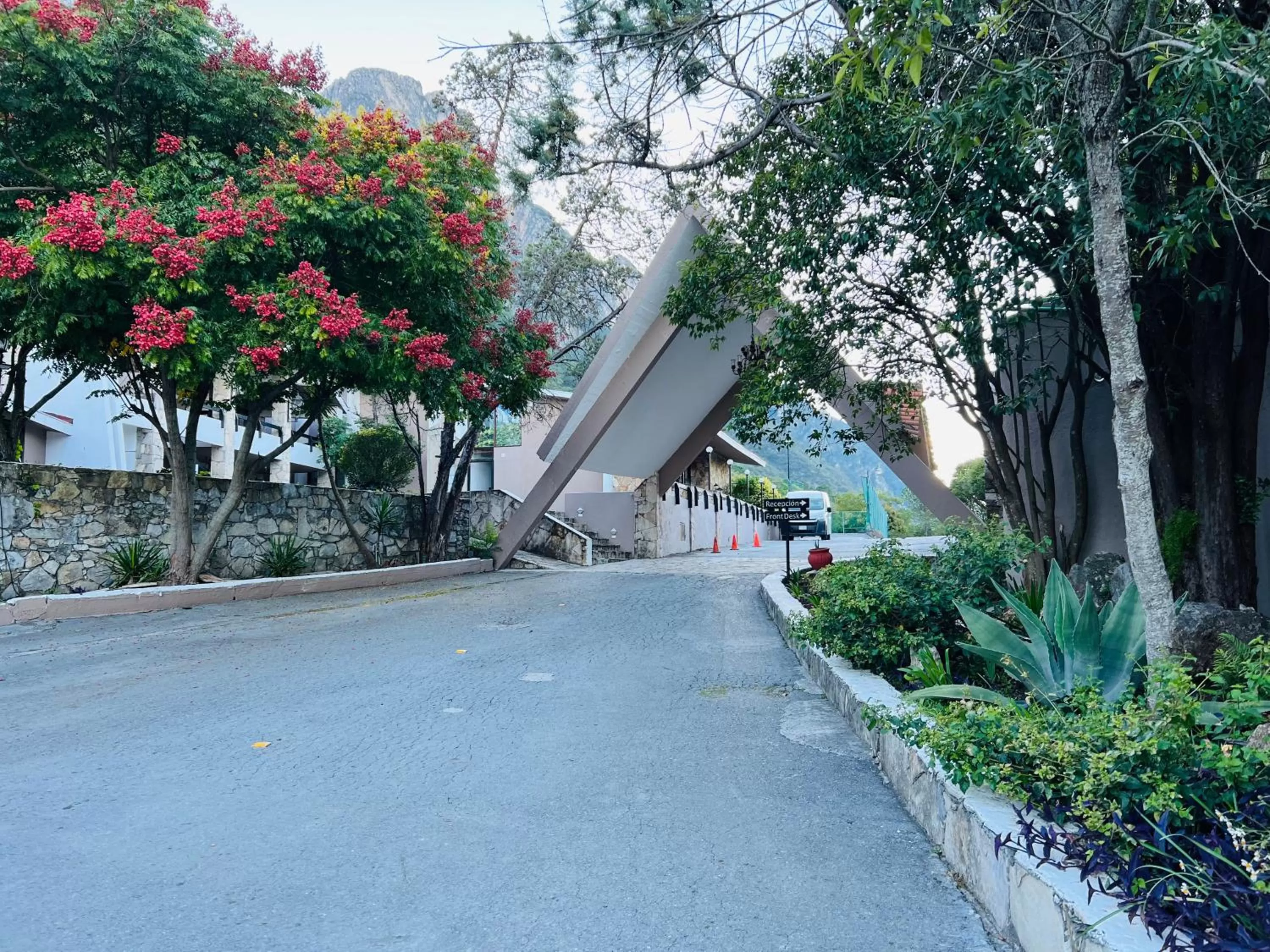 Spring in Hotel Chipinque