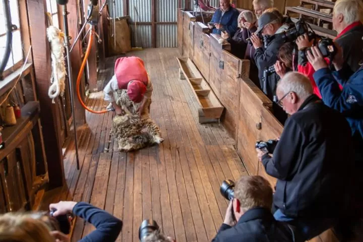 Hostería El Galpón Del Glaciar