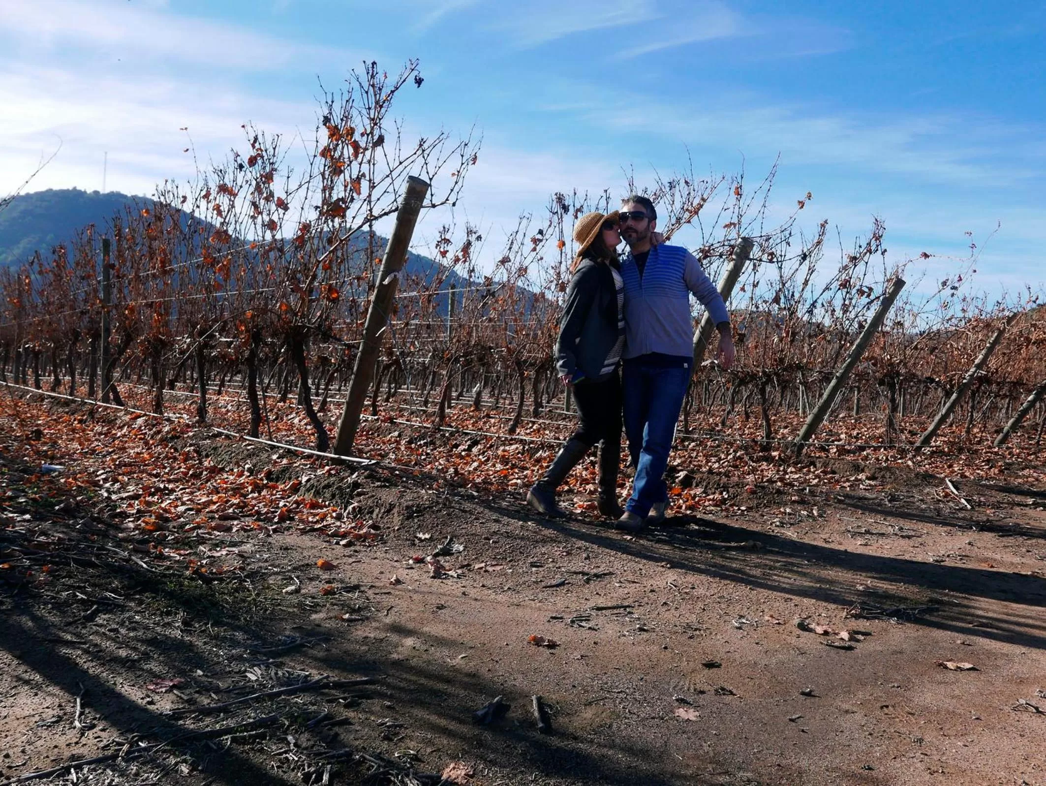 Landmark view in Callihue Lodge