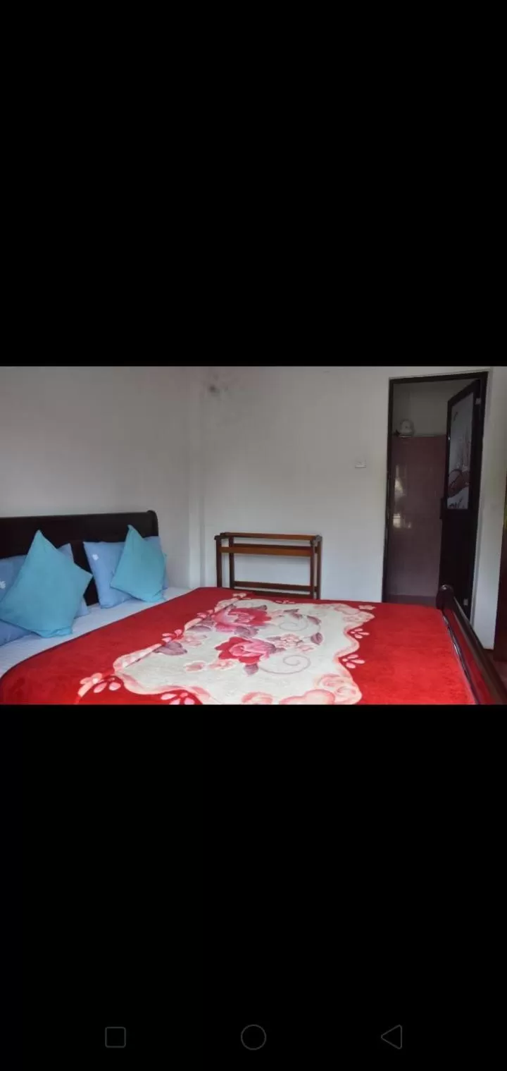 Bed in The Train View