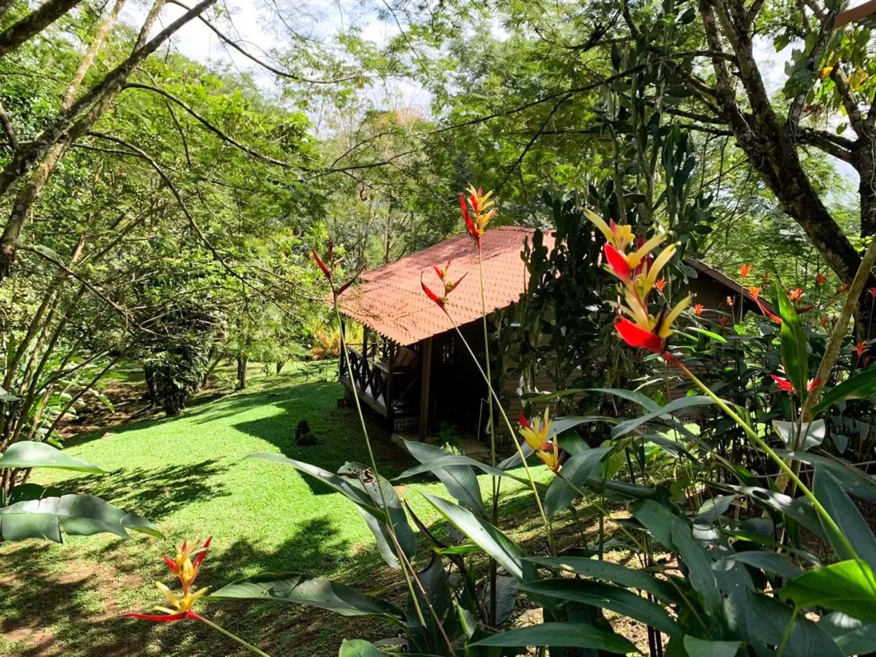 Day in Hospedaje La Naciente