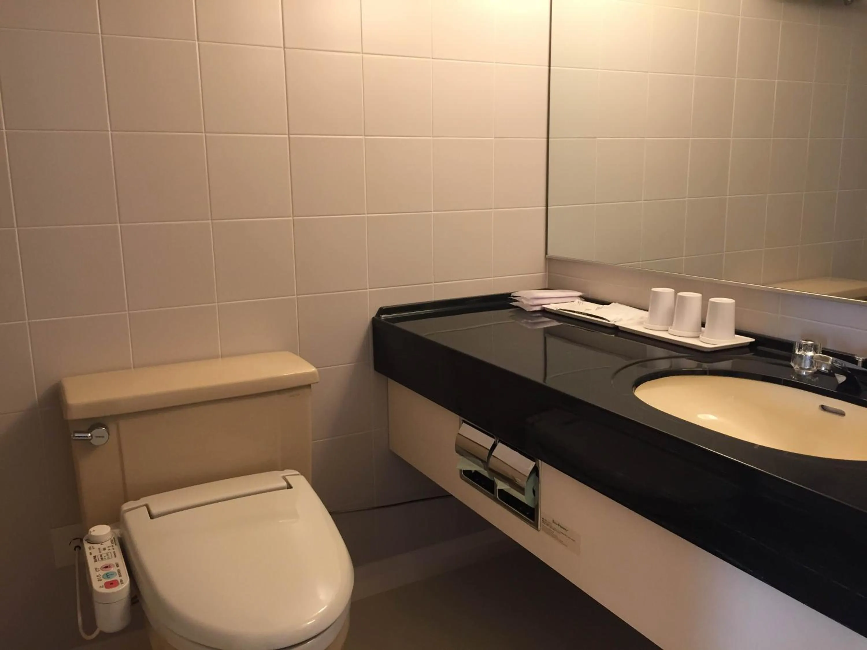 Toilet in Chisun Hotel Kamata