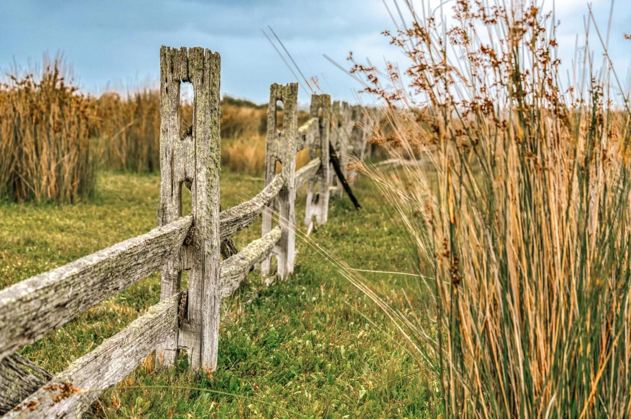 Natural landscape in Panorama Hotel St Helens