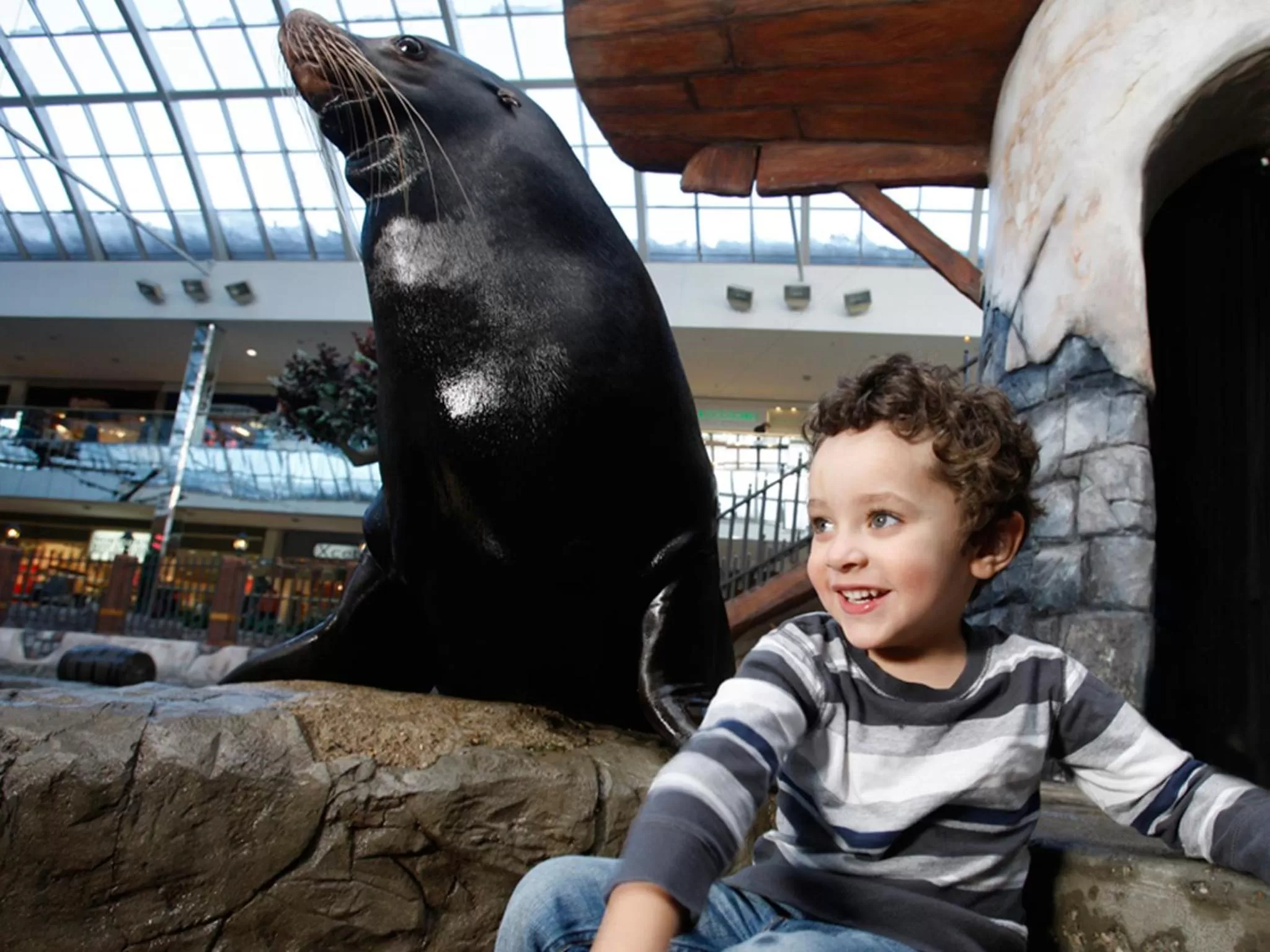 Animals in West Edmonton Mall Inn