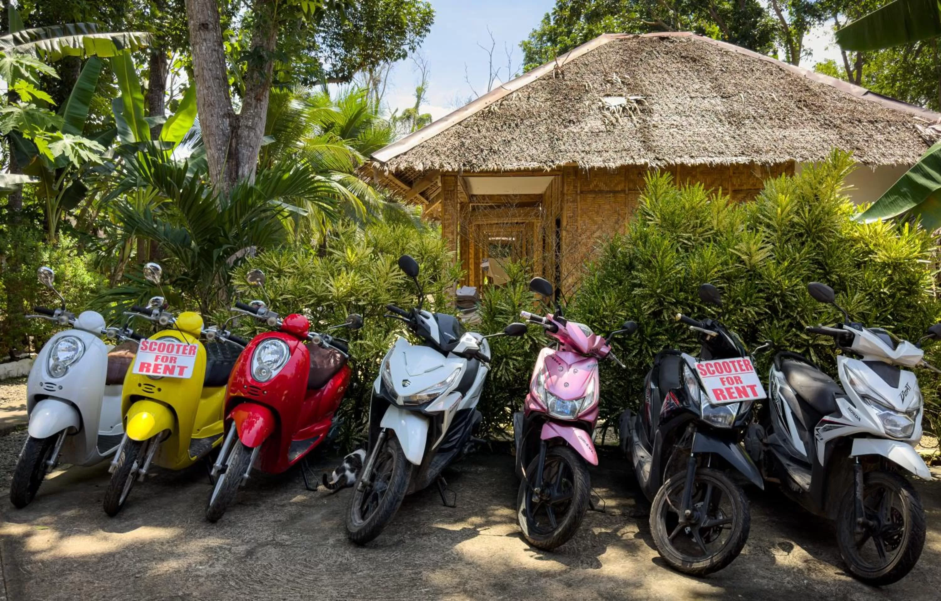 Parking in Alona Pawikan