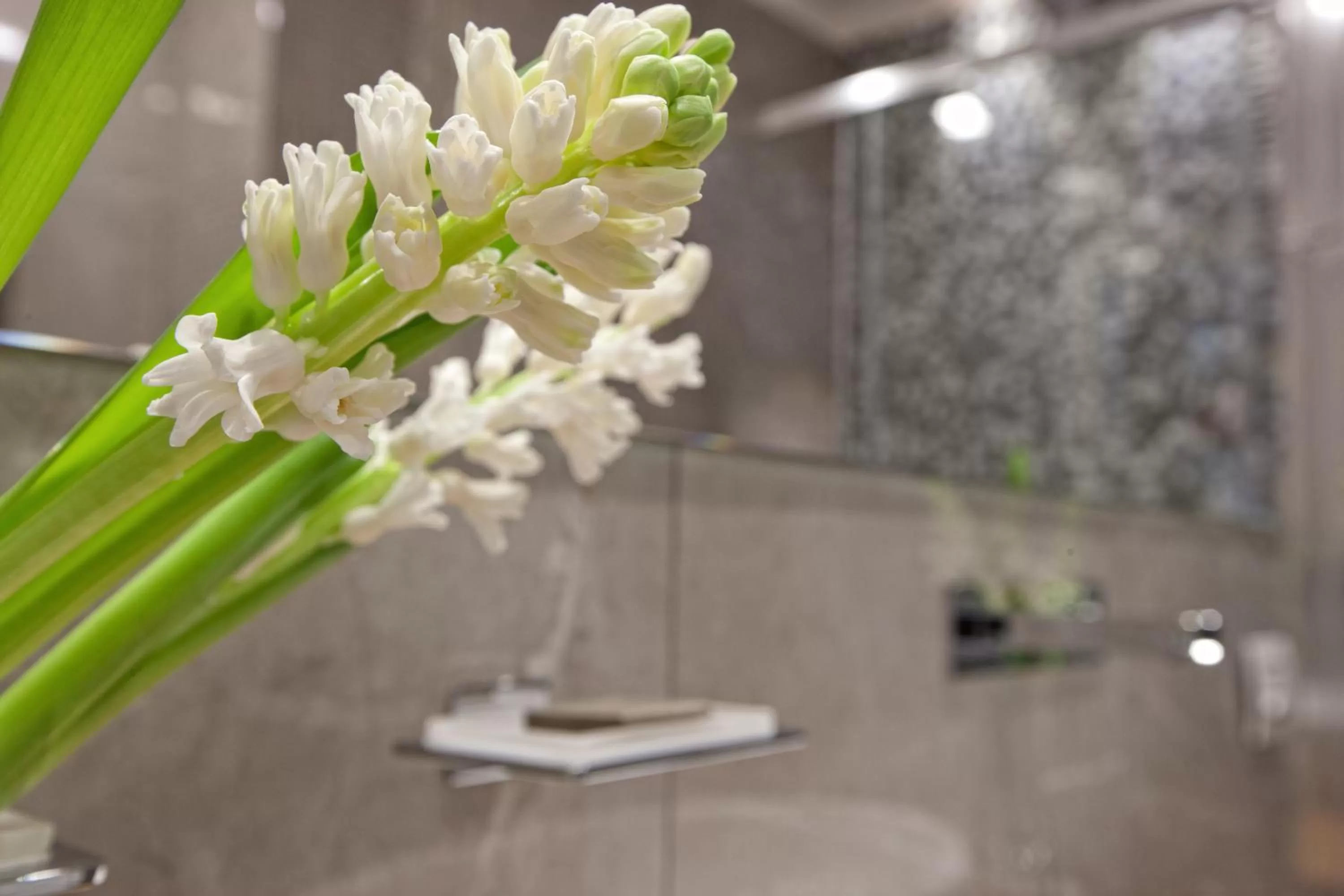 Decorative detail in Best Season