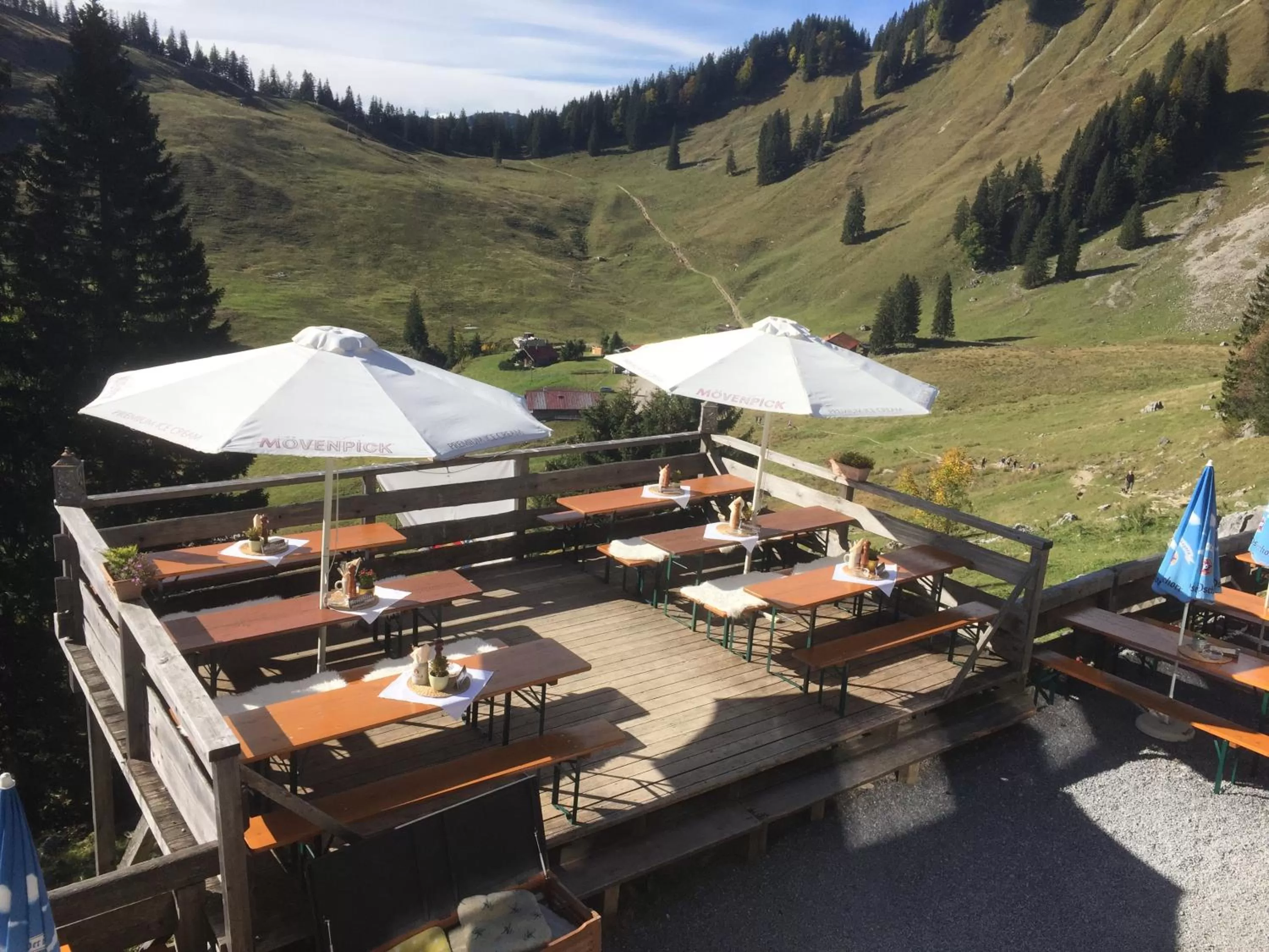 Restaurant/places to eat in Berggasthof Obere Firstalm