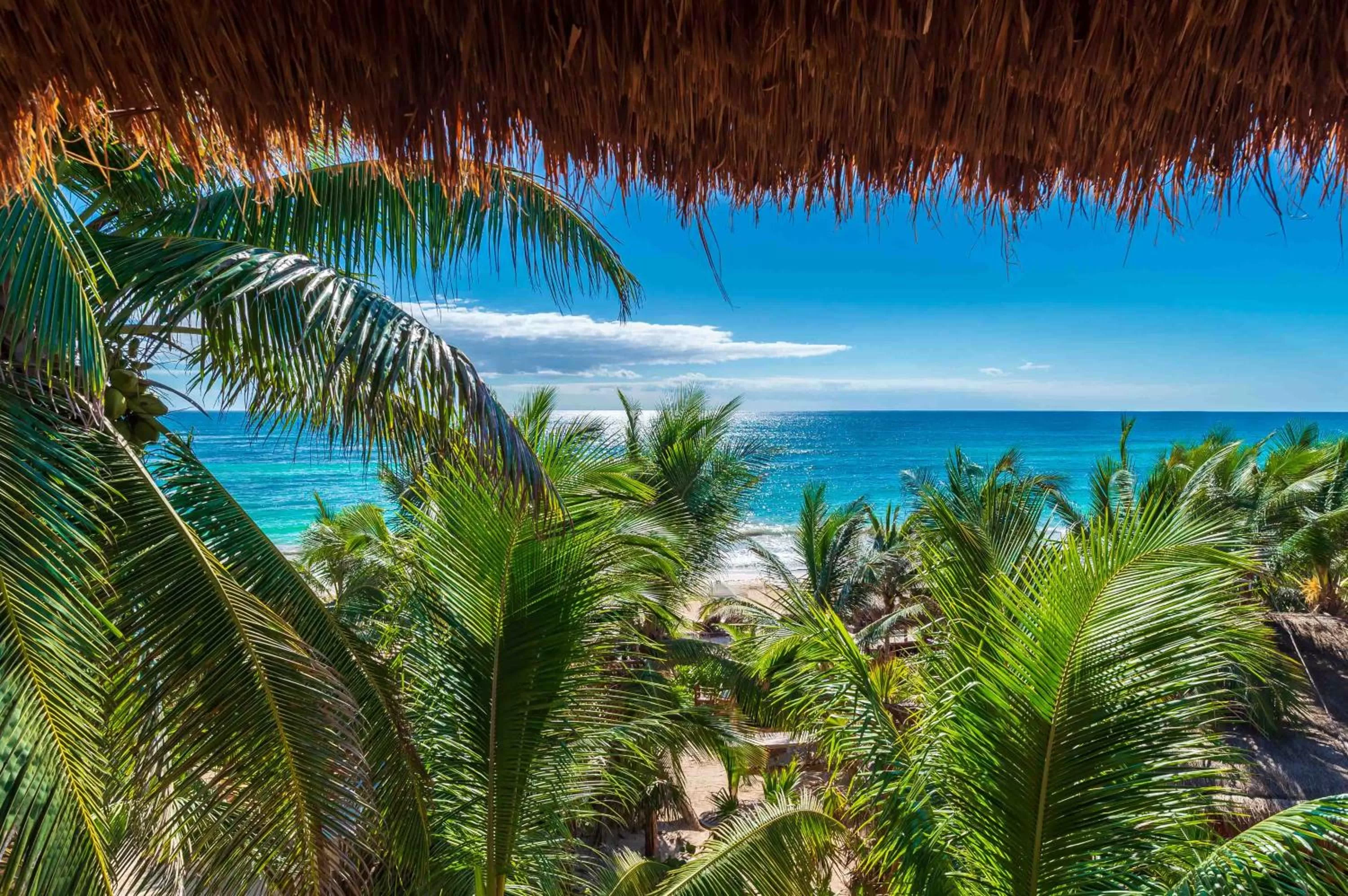 Day in Kanan Tulum Hotel & Spa Adults Only Playground