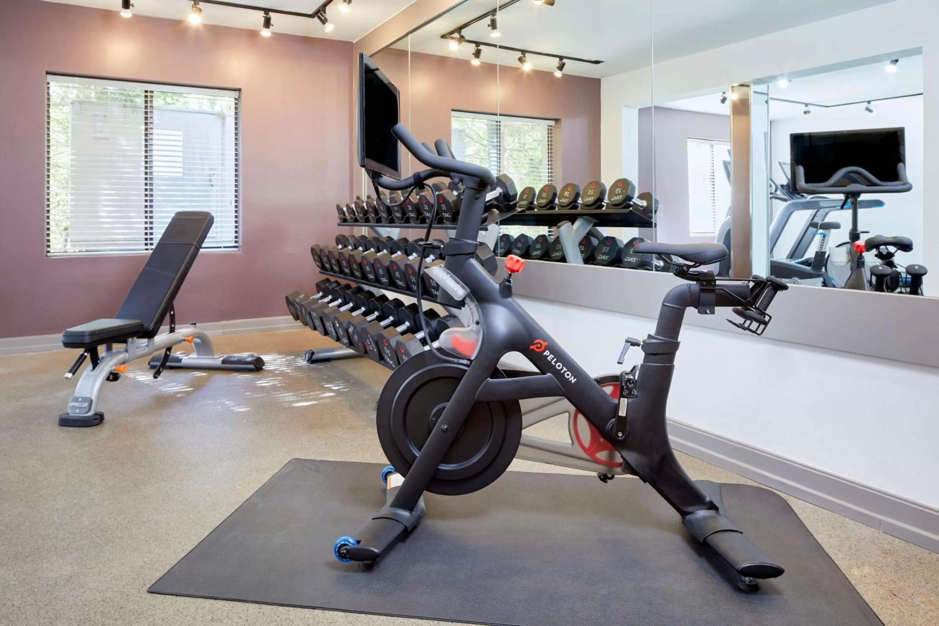 Fitness centre/facilities in DoubleTree by Hilton Atlanta Alpharetta-Windward
