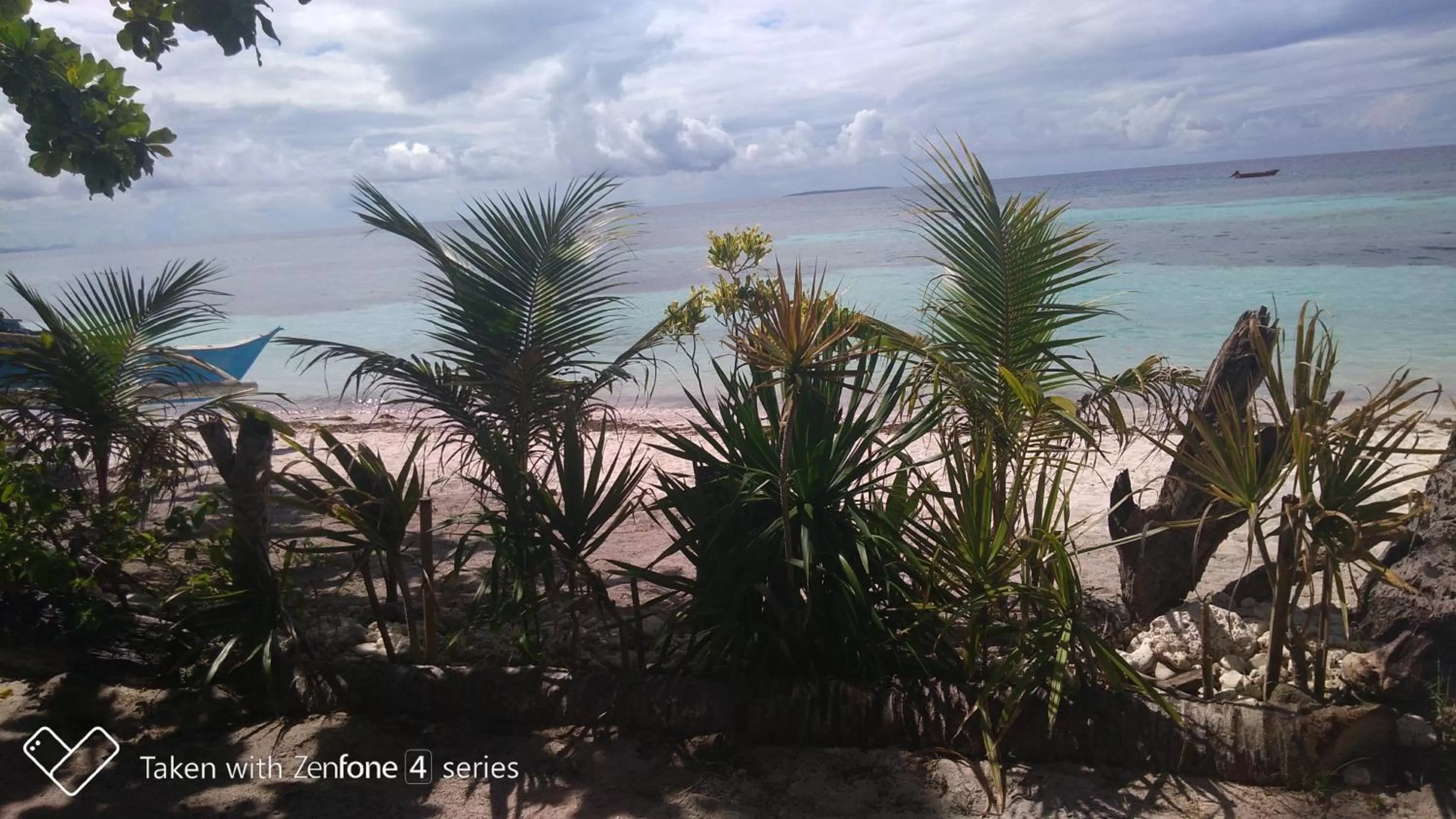 Garden view in D & B BLUESTAR BEACH RESORT