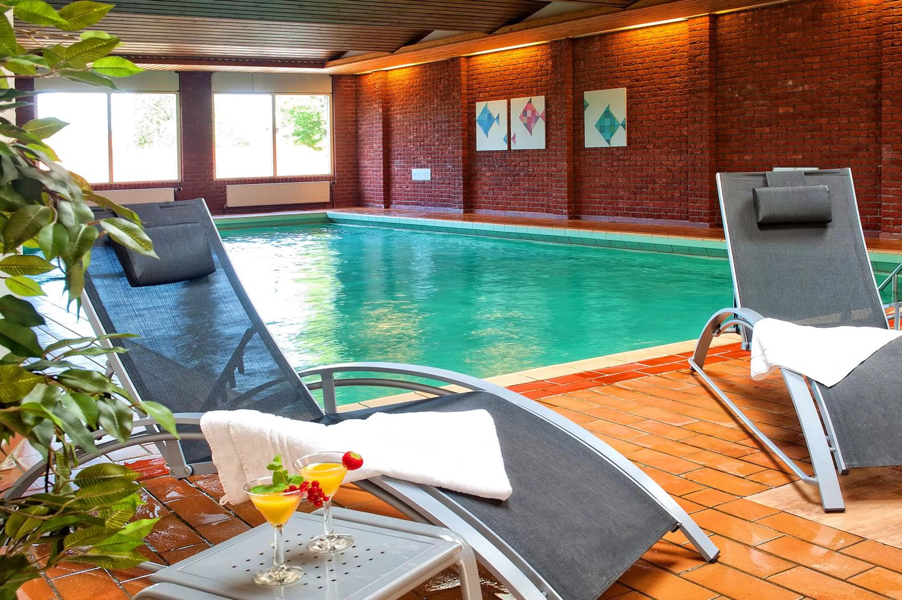 Swimming pool in Hotel Hof van Gelre by Flow